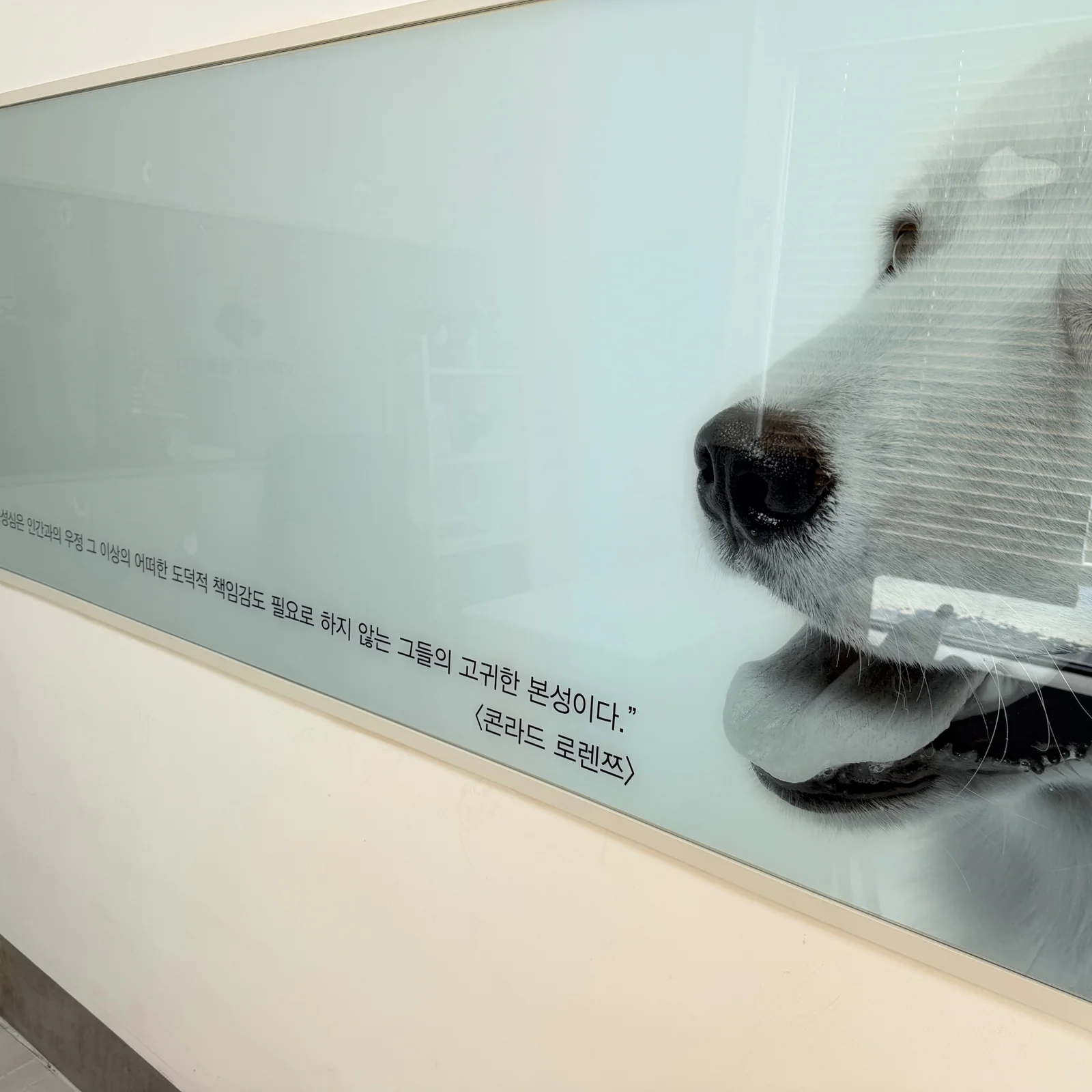 리뷰 사진 3