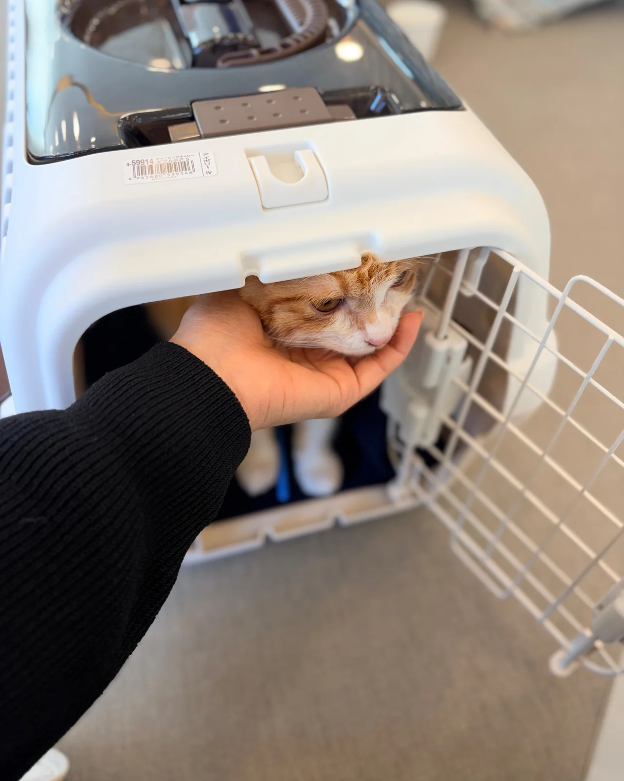 리뷰 사진 2