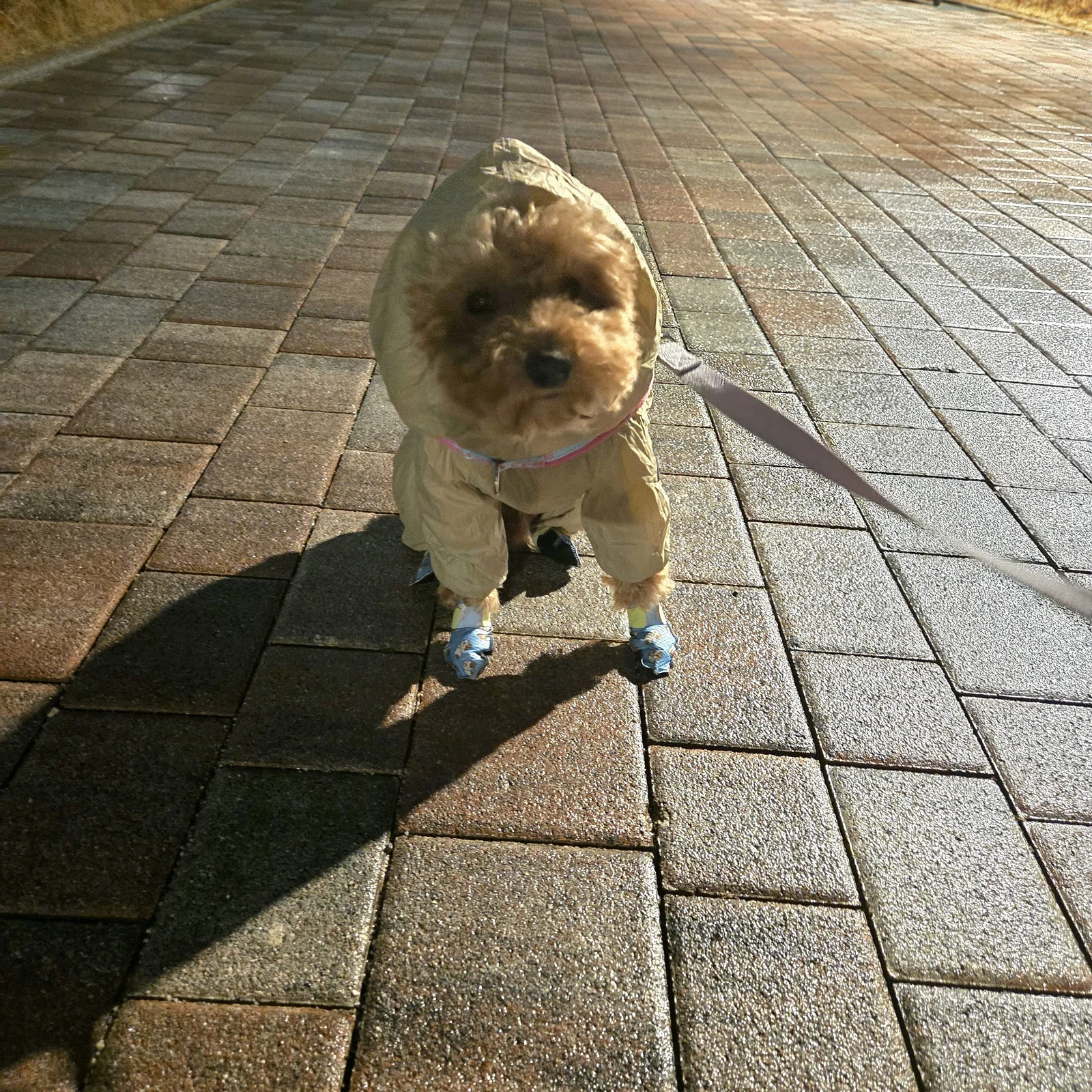 리뷰 사진 1