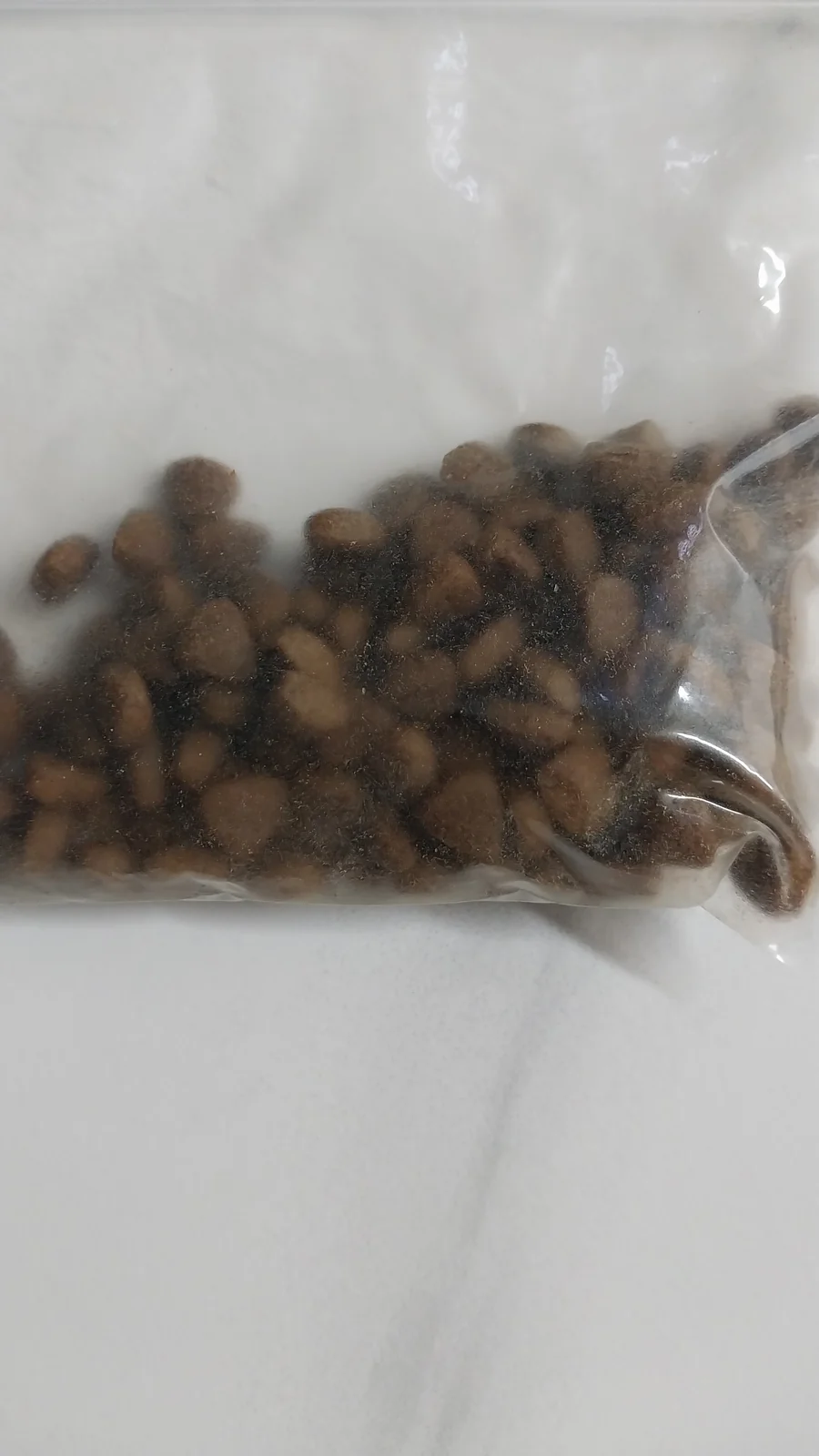 리뷰 사진 2