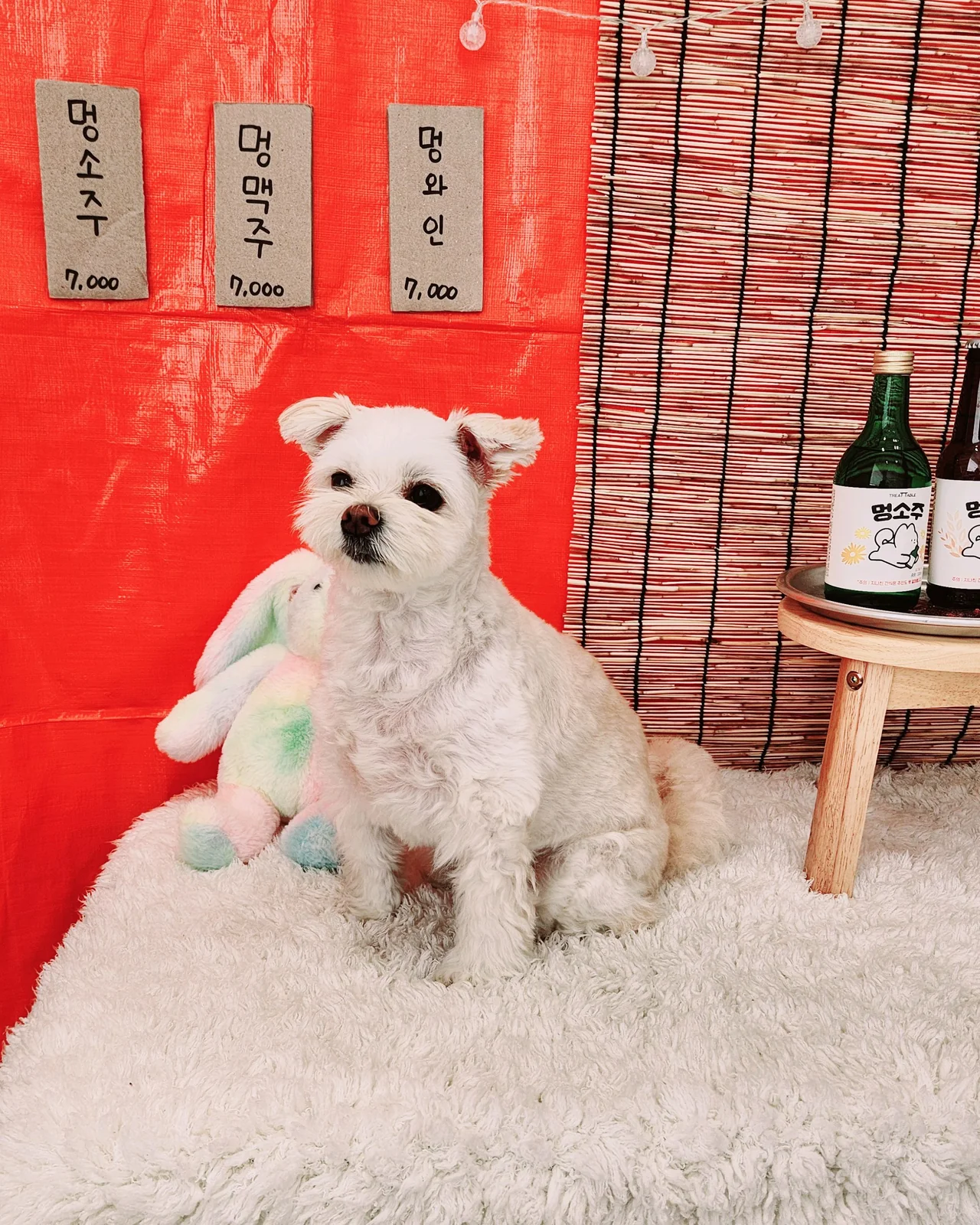 리뷰 사진 1
