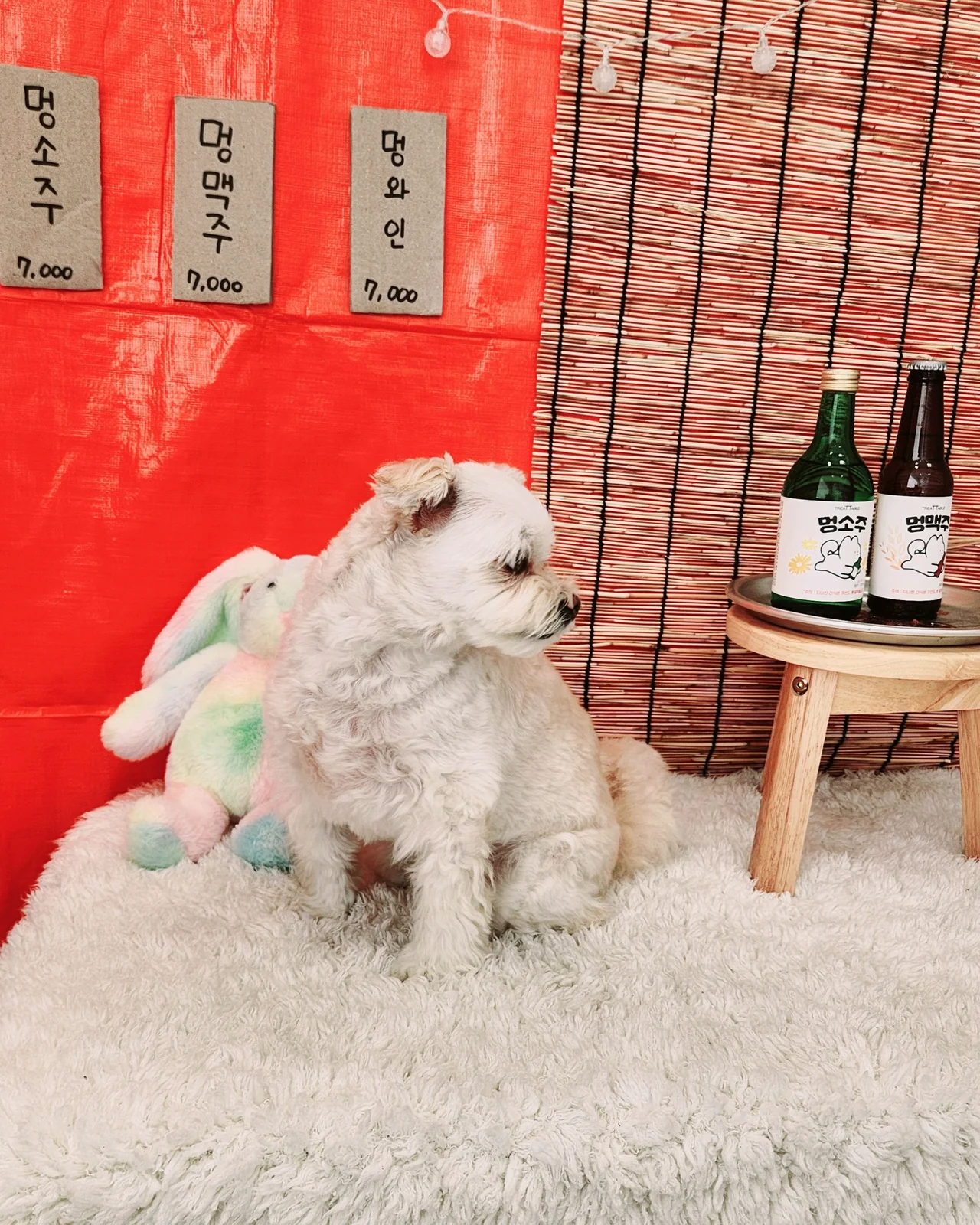 리뷰 사진 2