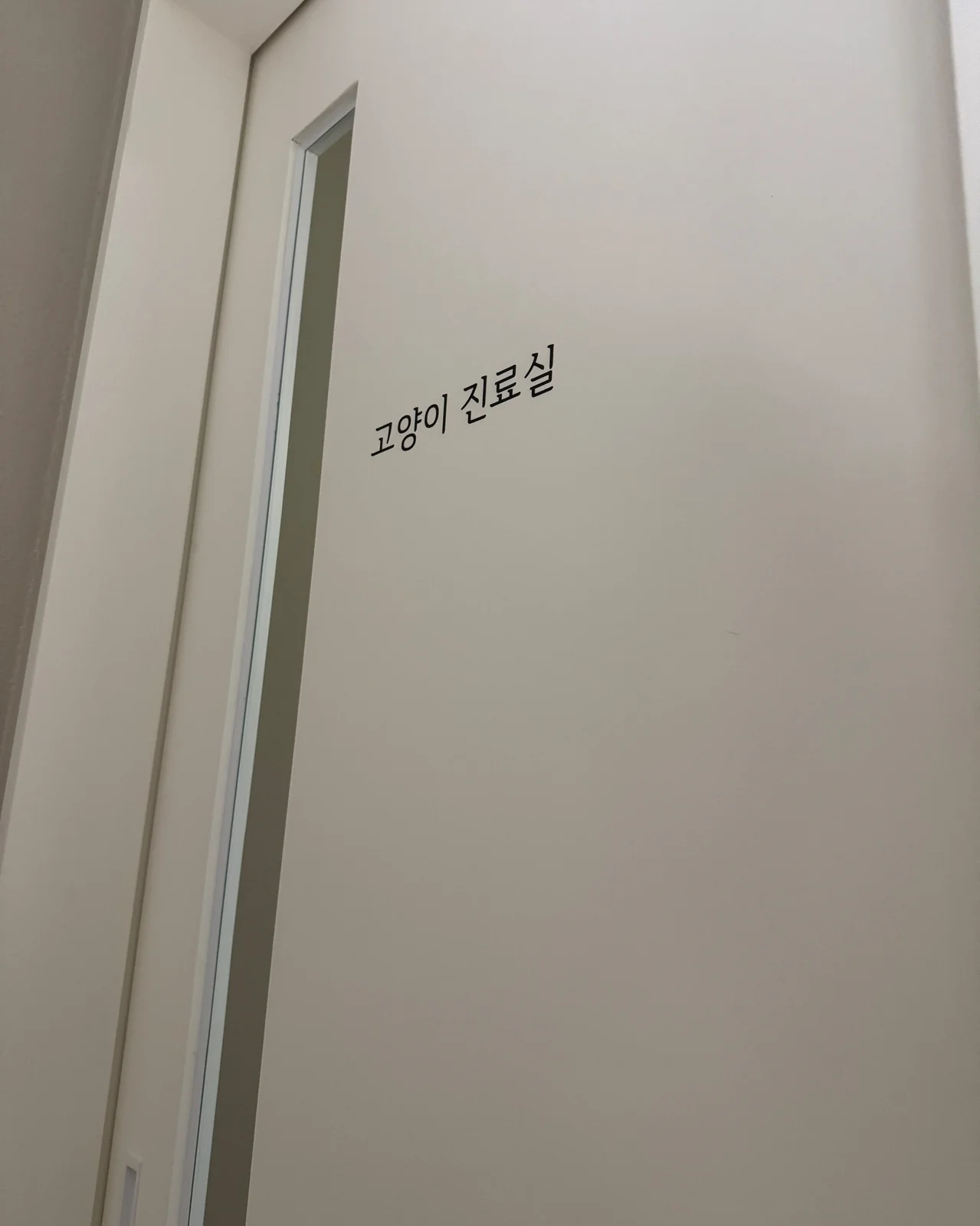 리뷰 사진 2