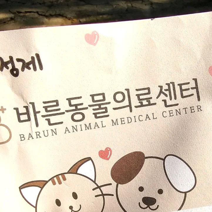 리뷰 사진 1