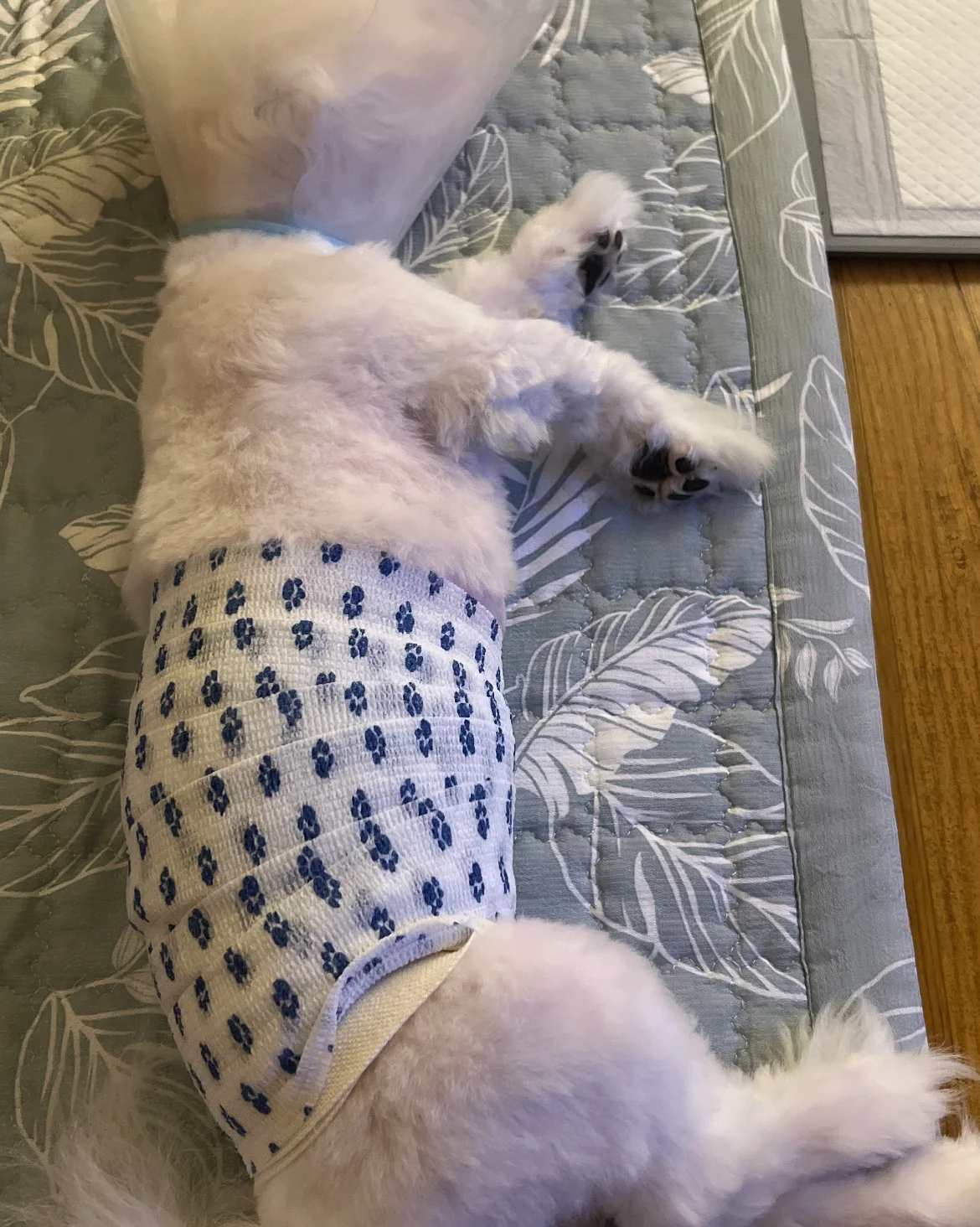 리뷰 사진 1