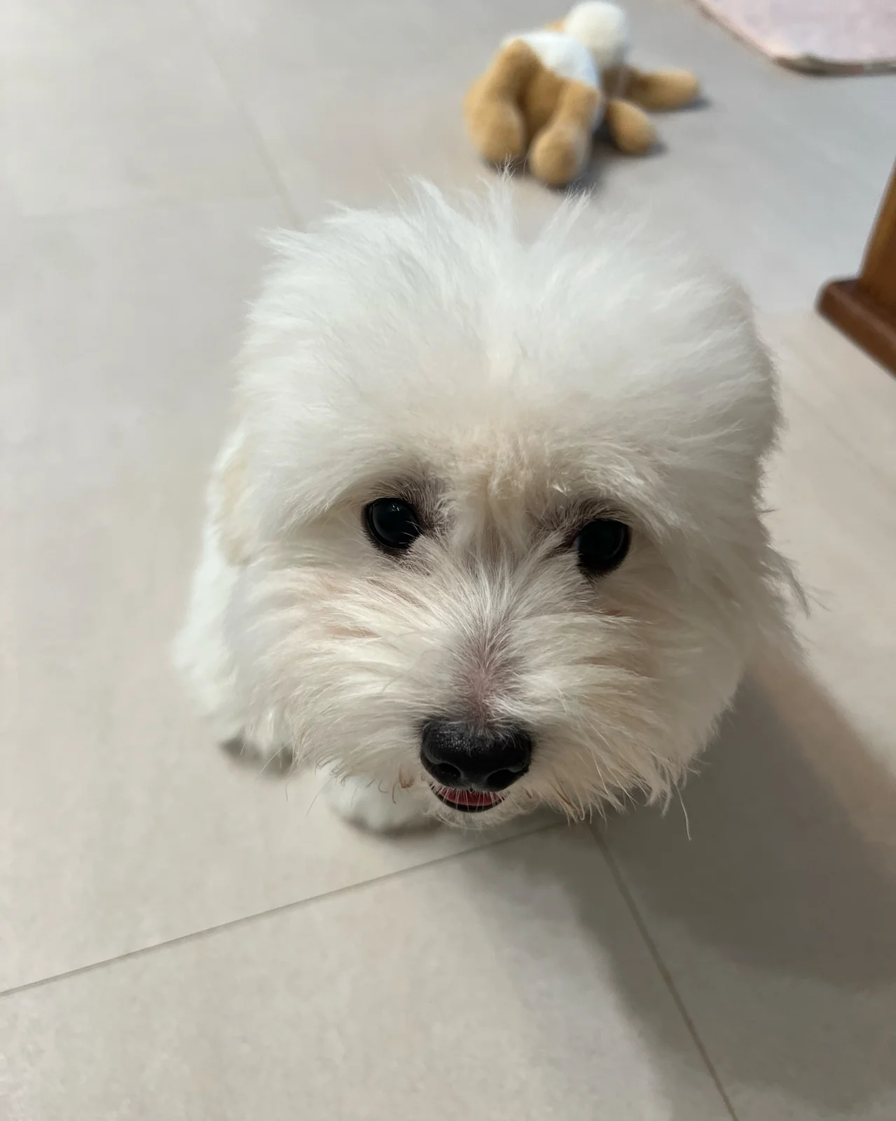 리뷰 사진 1