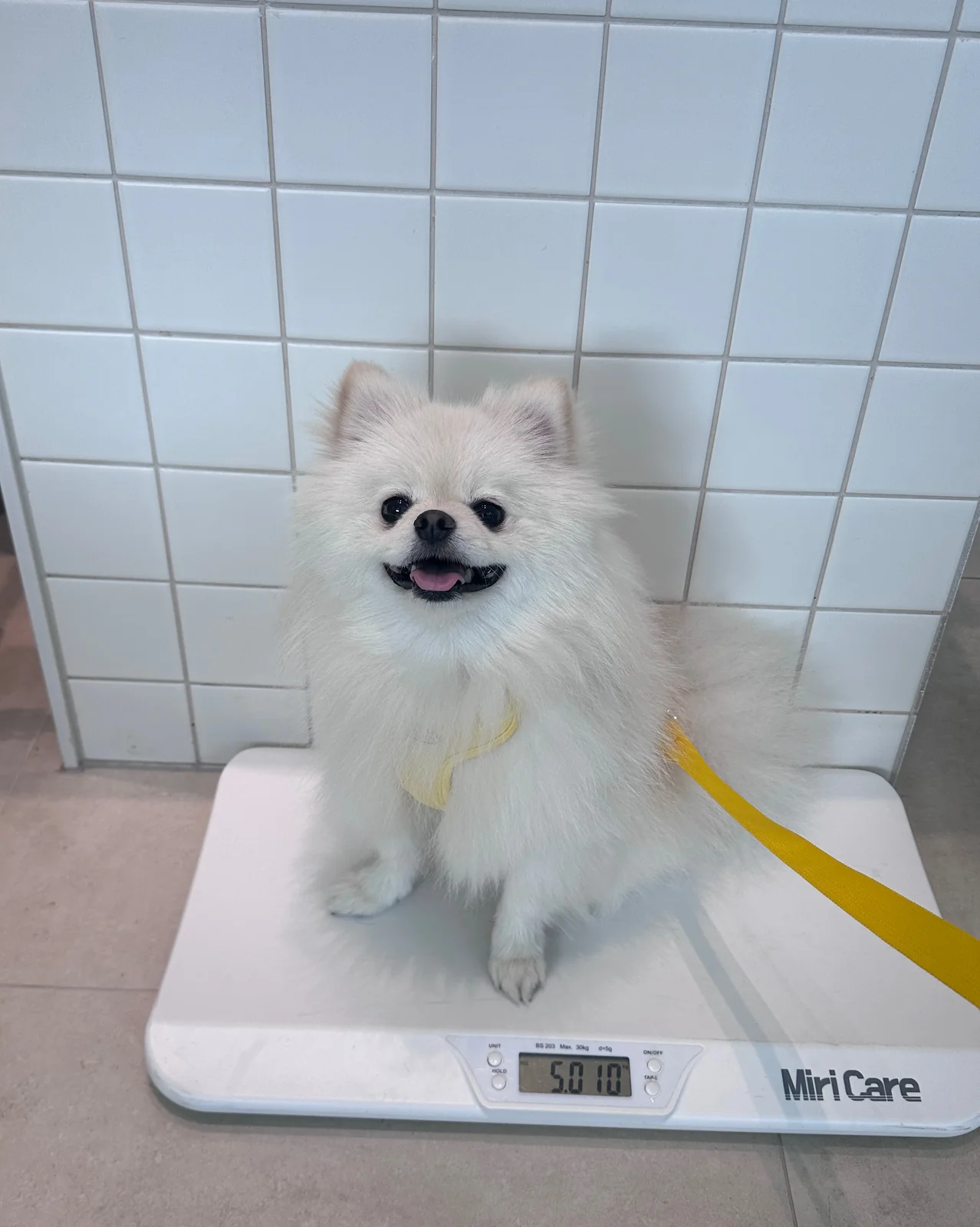 리뷰 사진 1