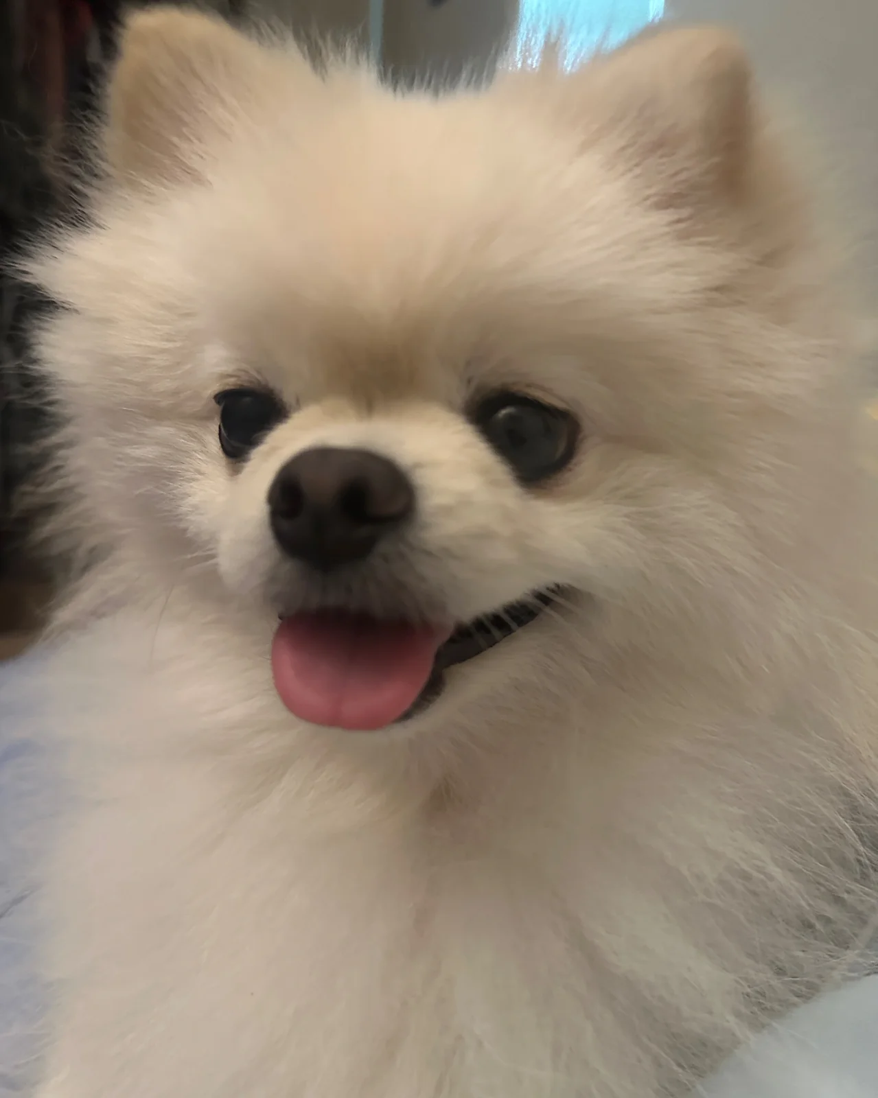 리뷰 사진 3