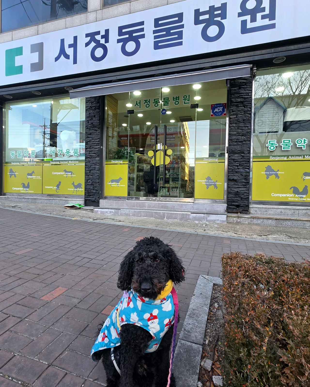 리뷰 사진 1