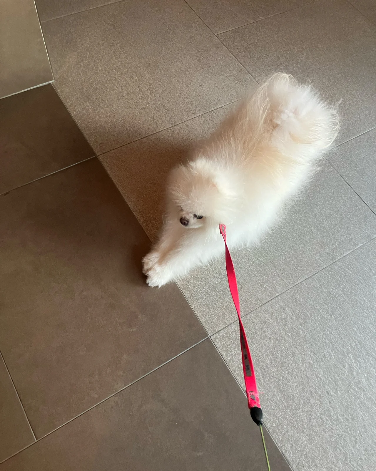 리뷰 사진 1