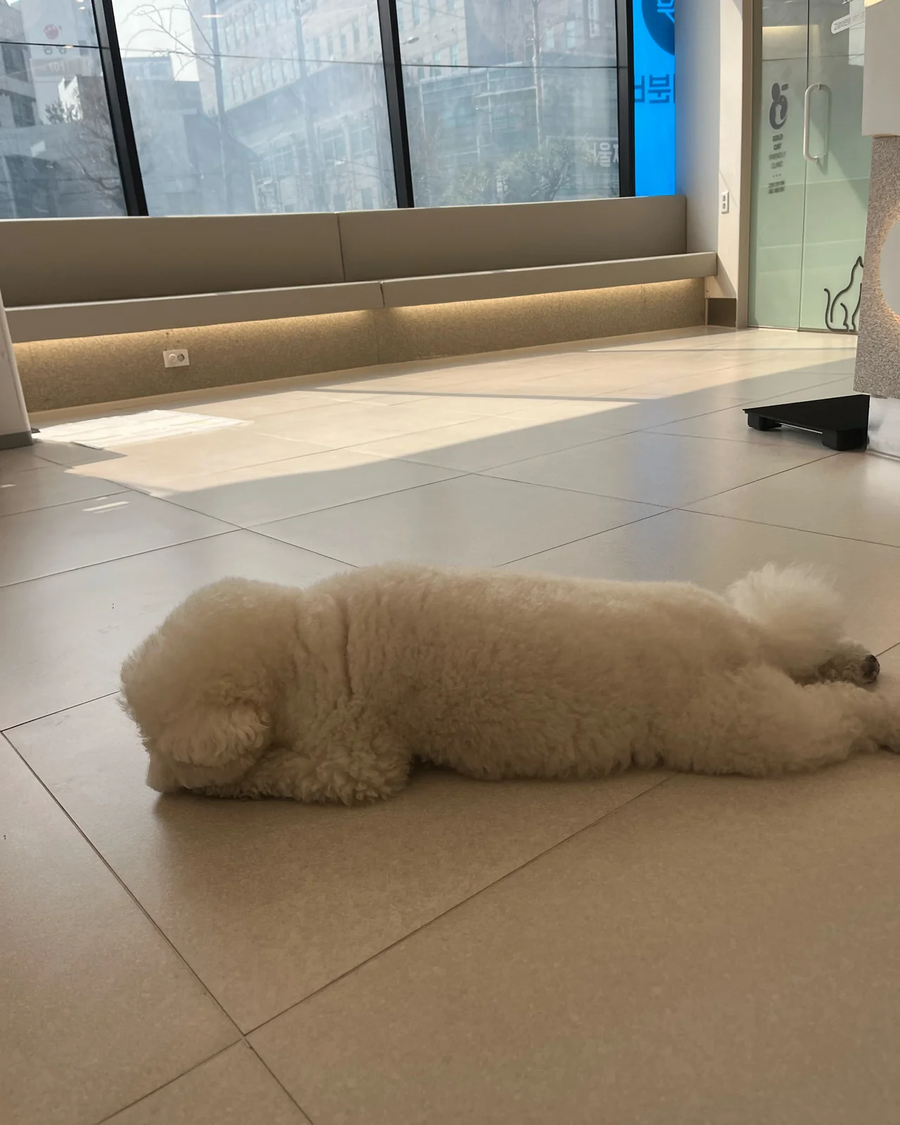 리뷰 사진 2