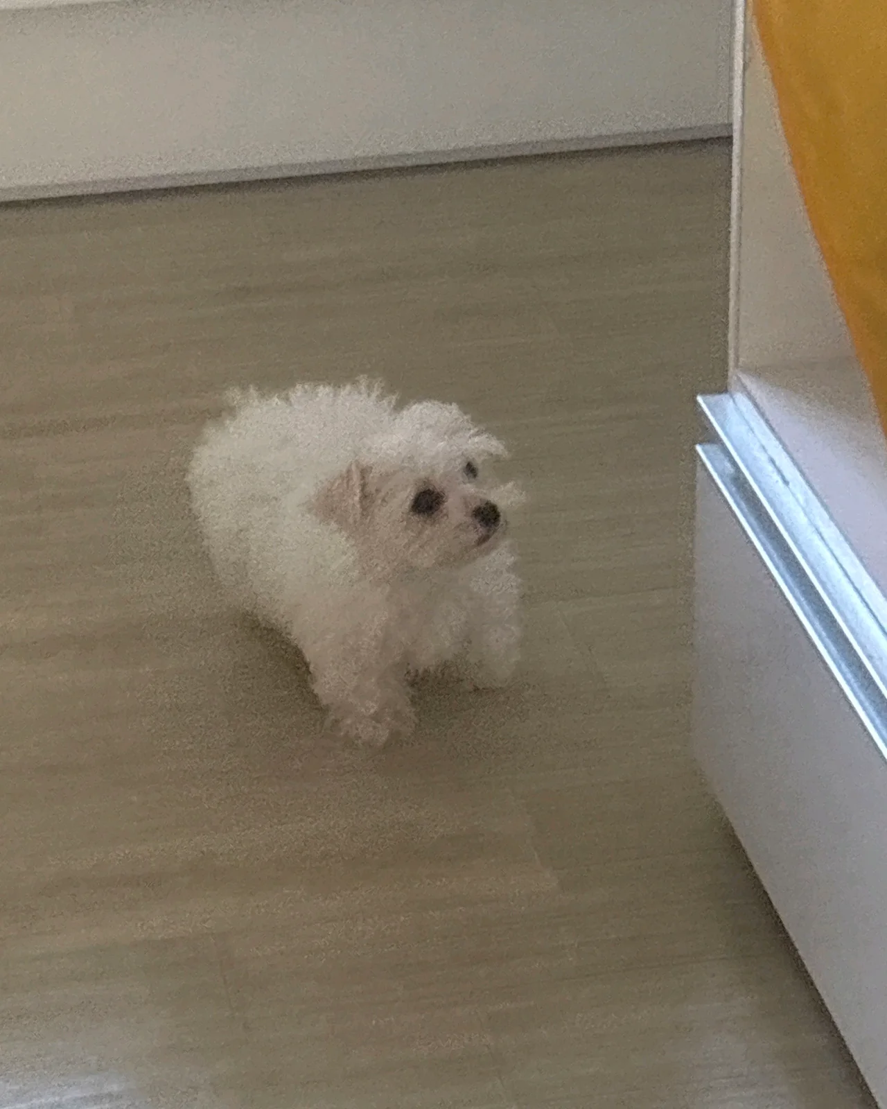 리뷰 사진 1
