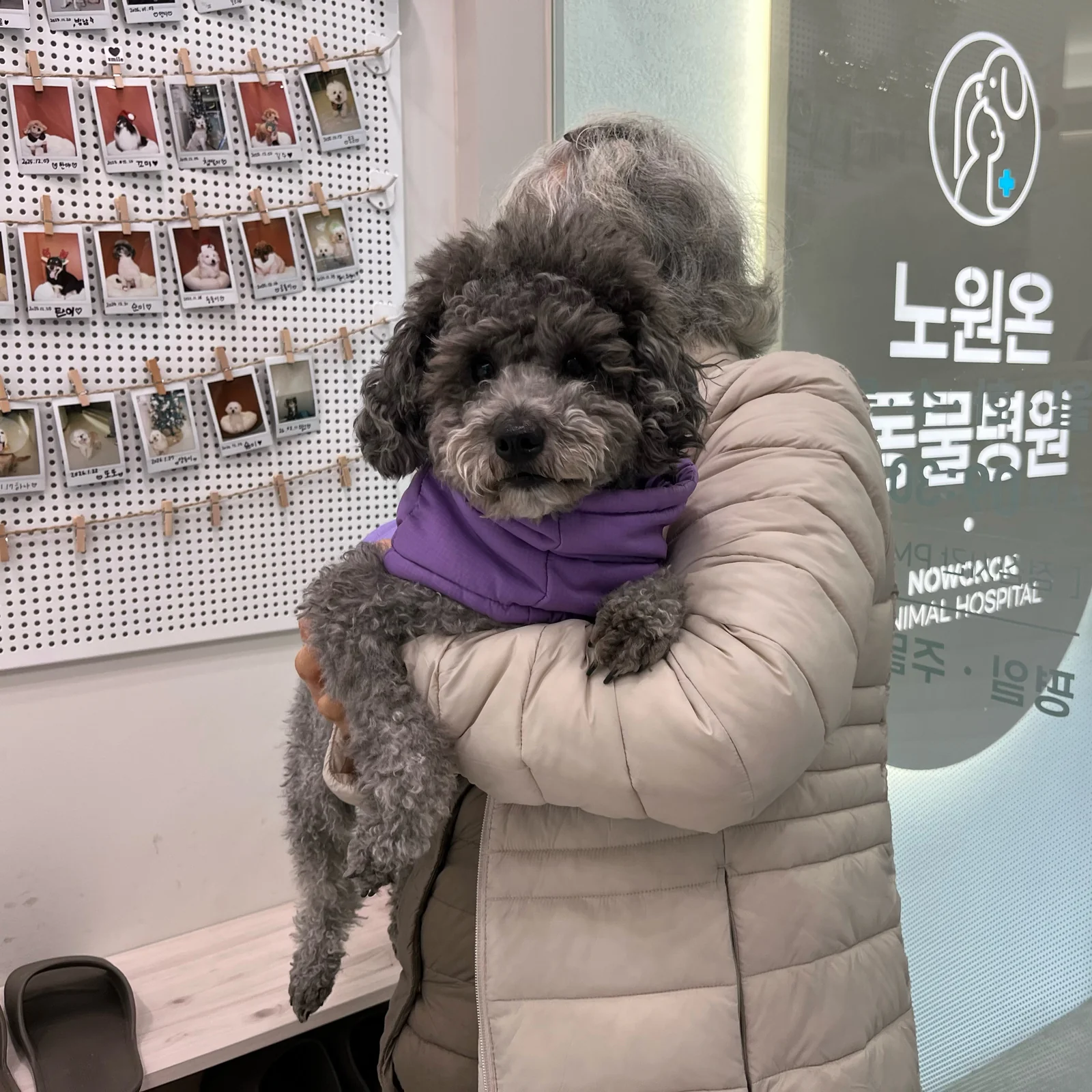 리뷰 사진 1