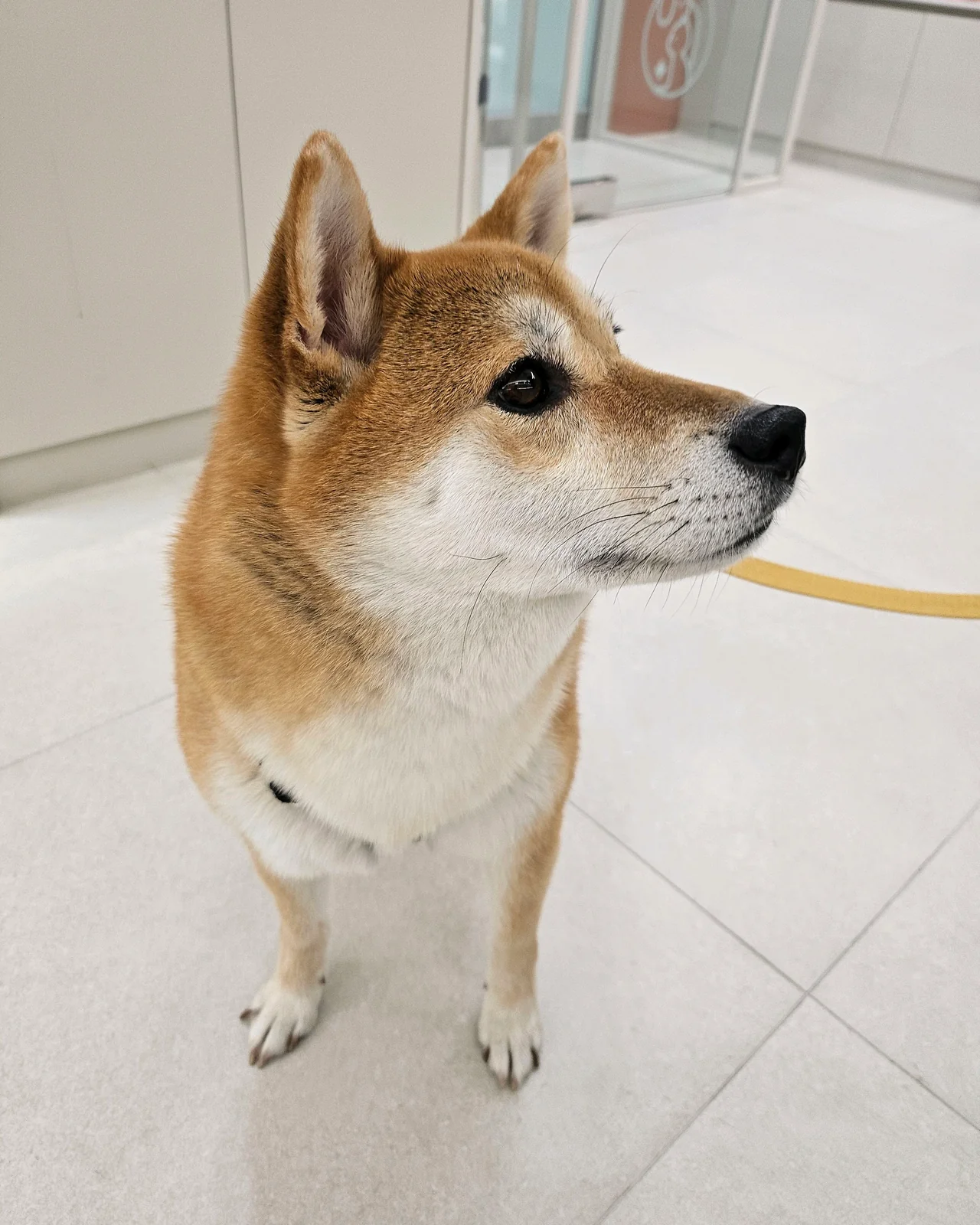 리뷰 사진 1