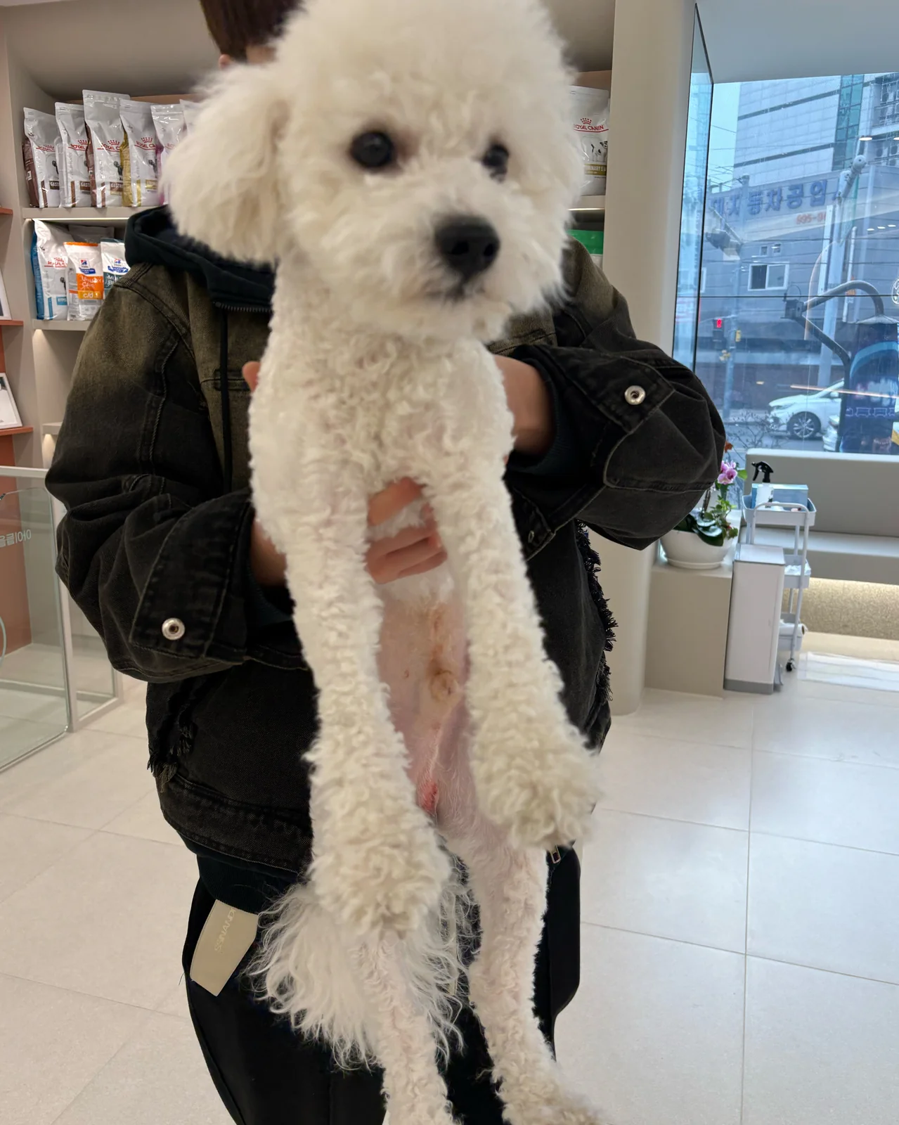 리뷰 사진 1