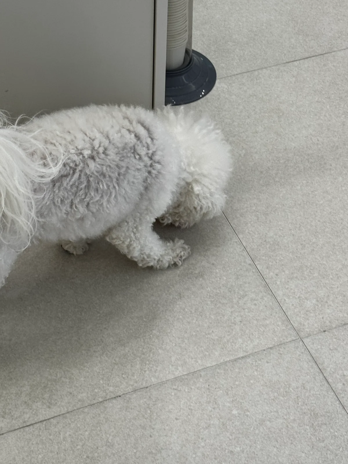 리뷰 사진 1
