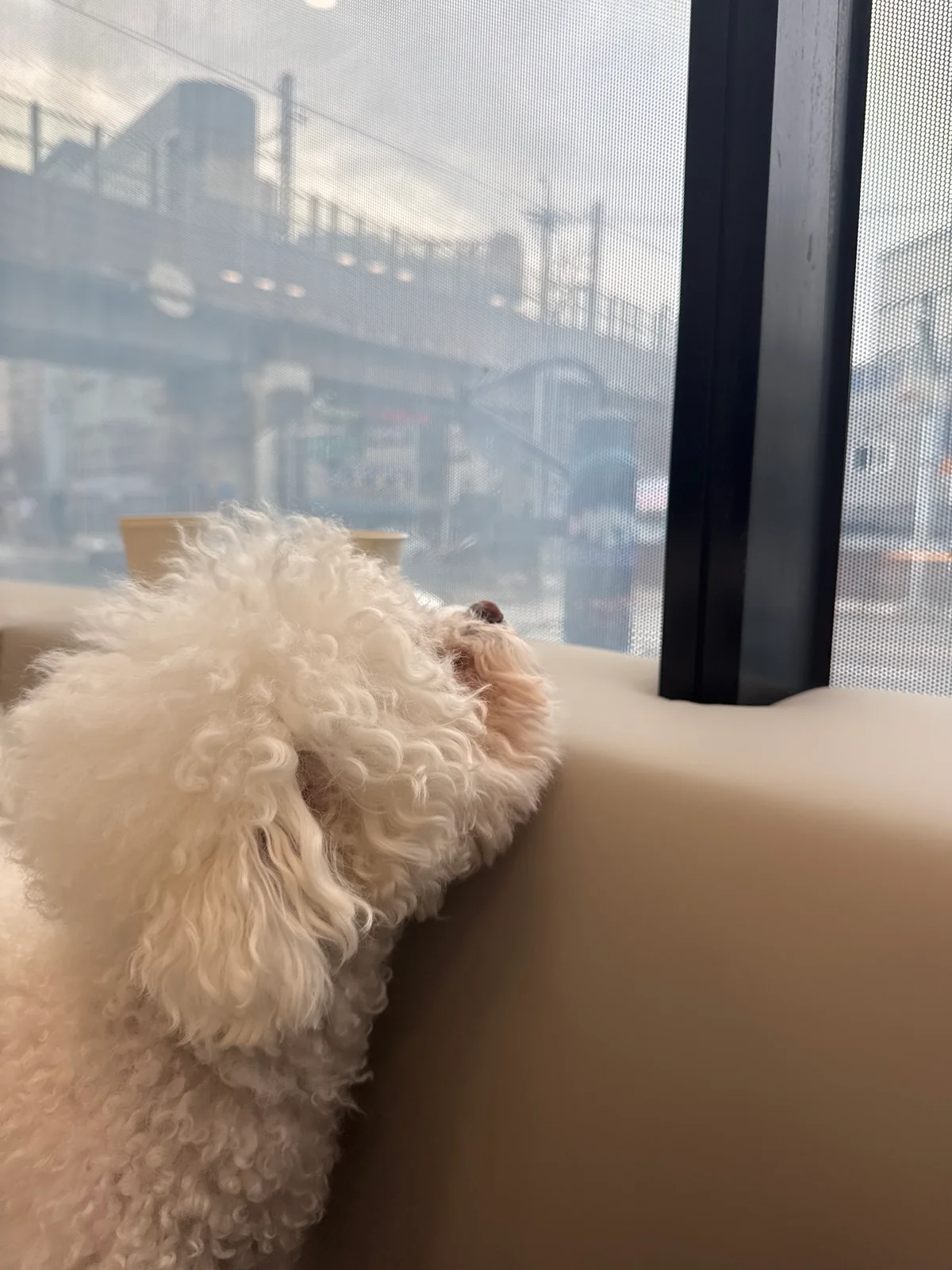 리뷰 사진 2