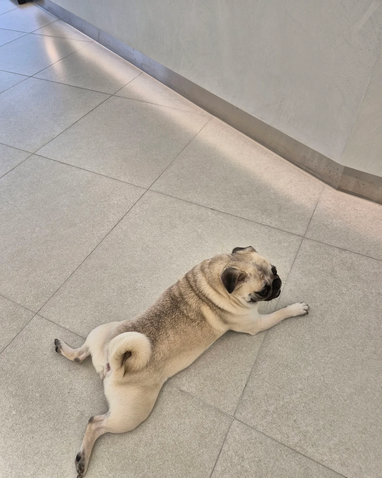 리뷰 사진 1