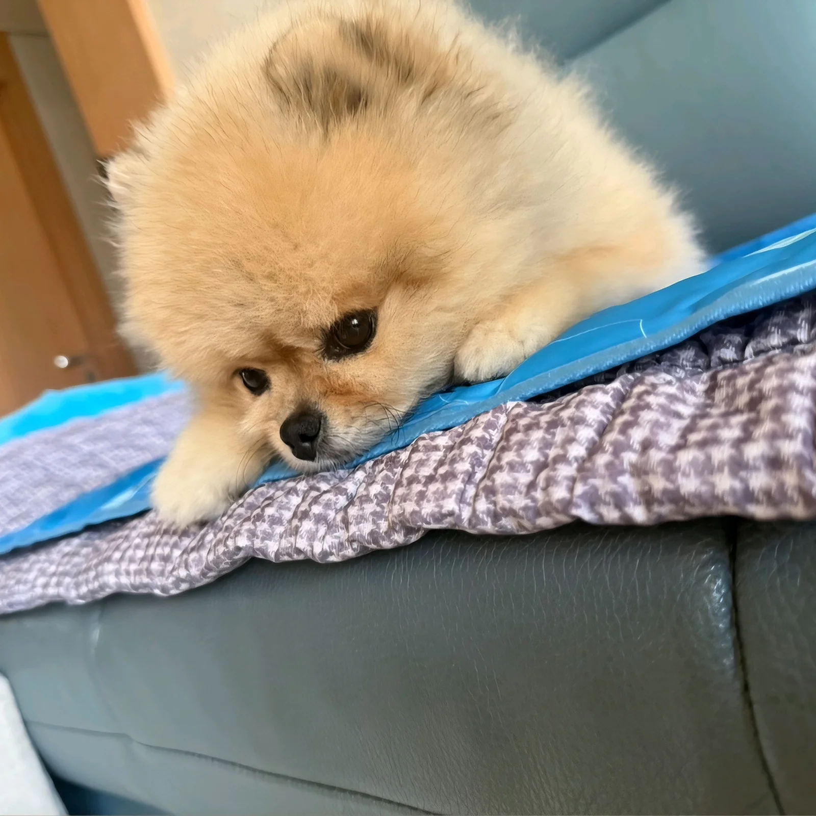 리뷰 사진 1