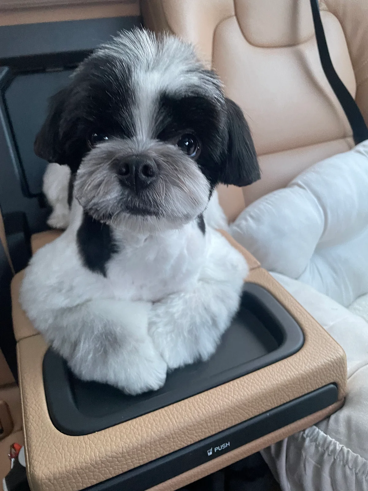 리뷰 사진 1