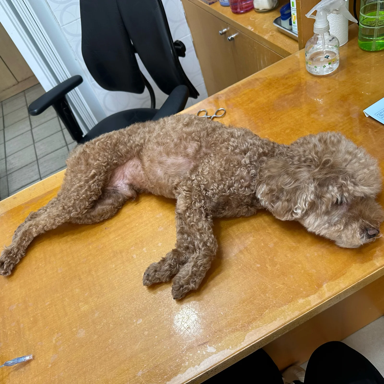 리뷰 사진 1
