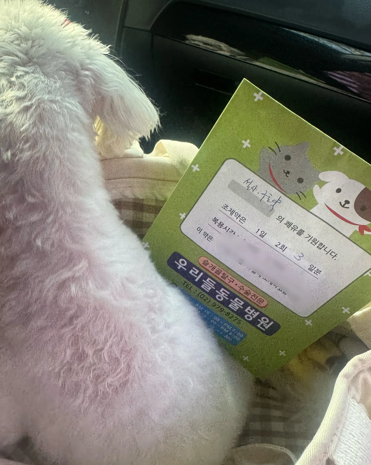 리뷰 사진 1