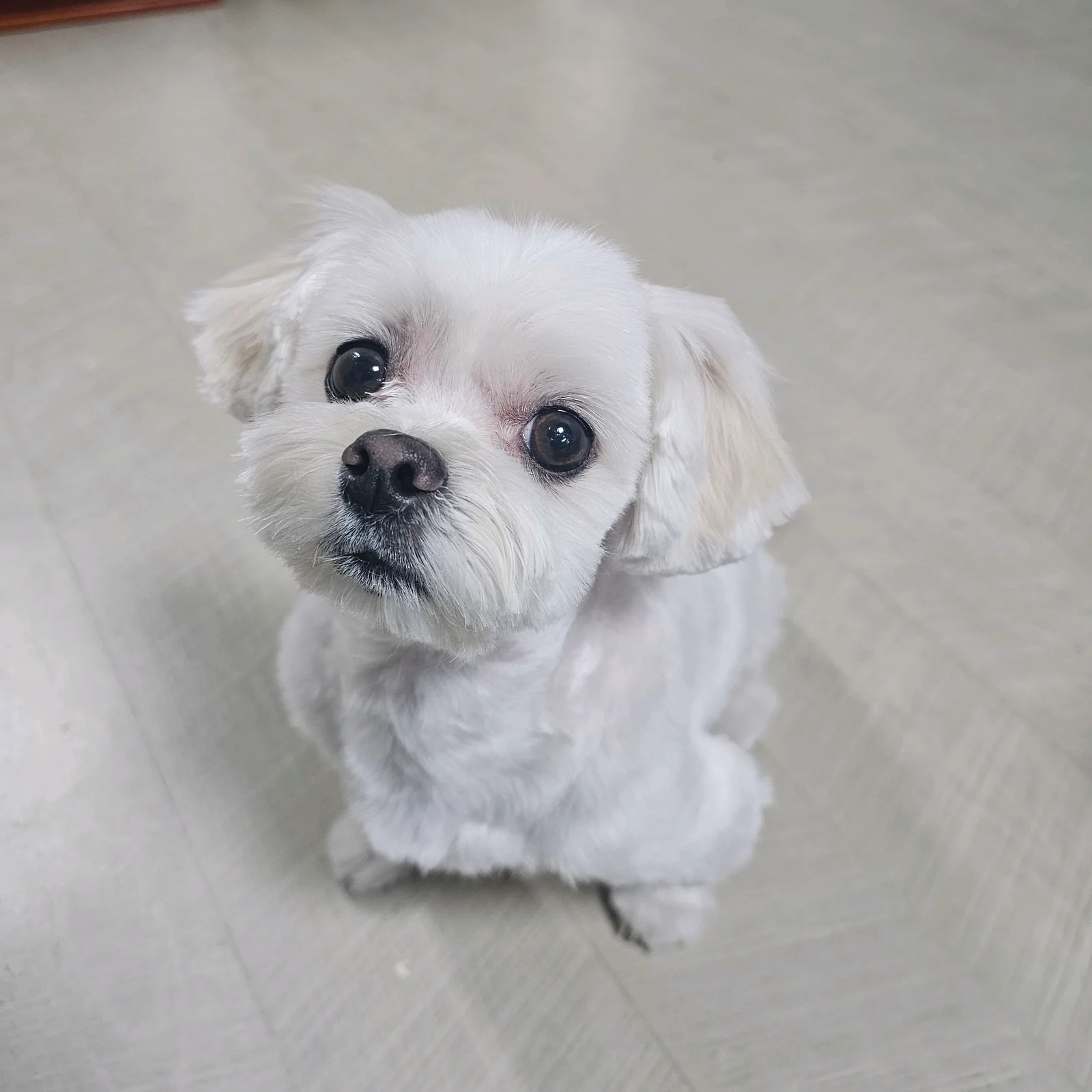 리뷰 사진 1