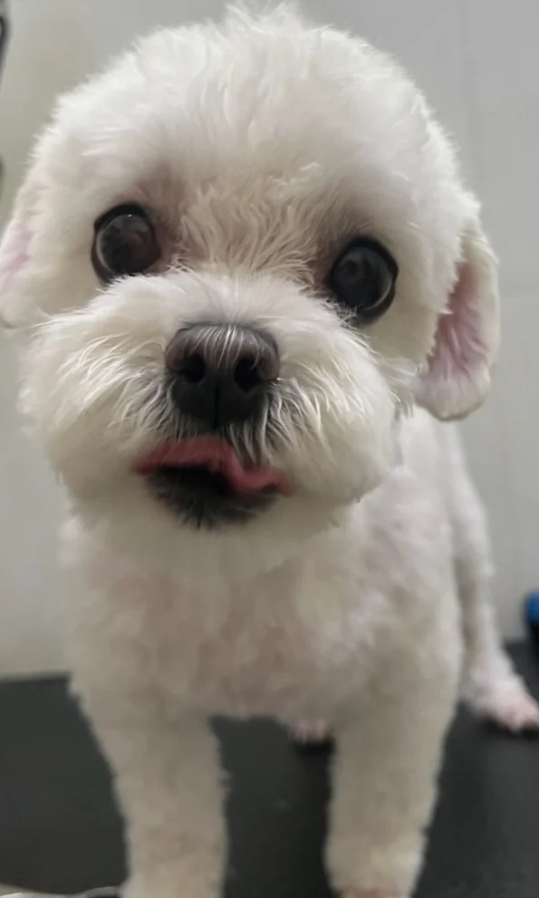 리뷰 사진 1