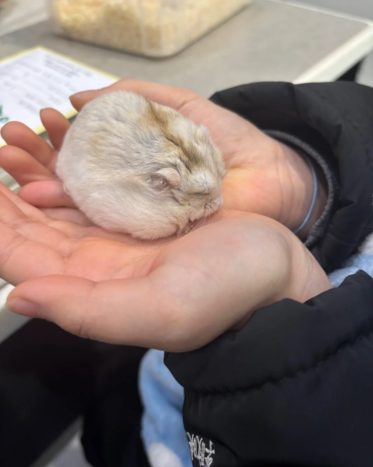 이앤박동물병원 사진 2