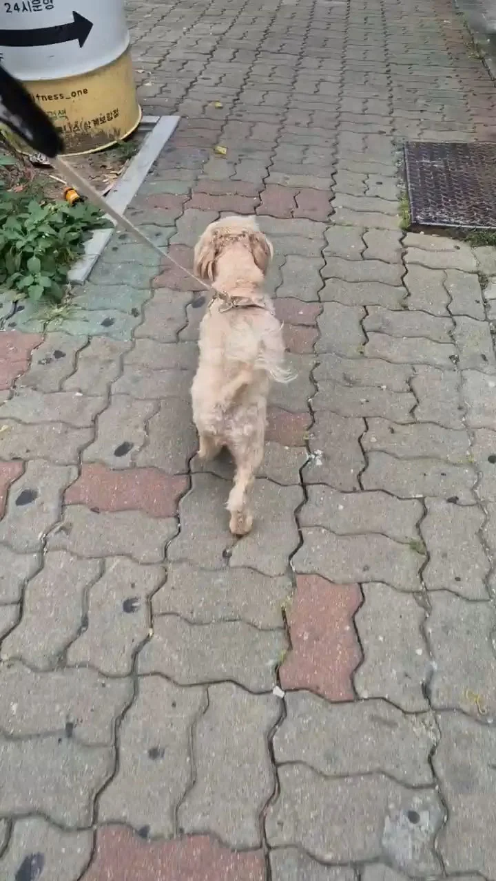 리뷰 사진 1