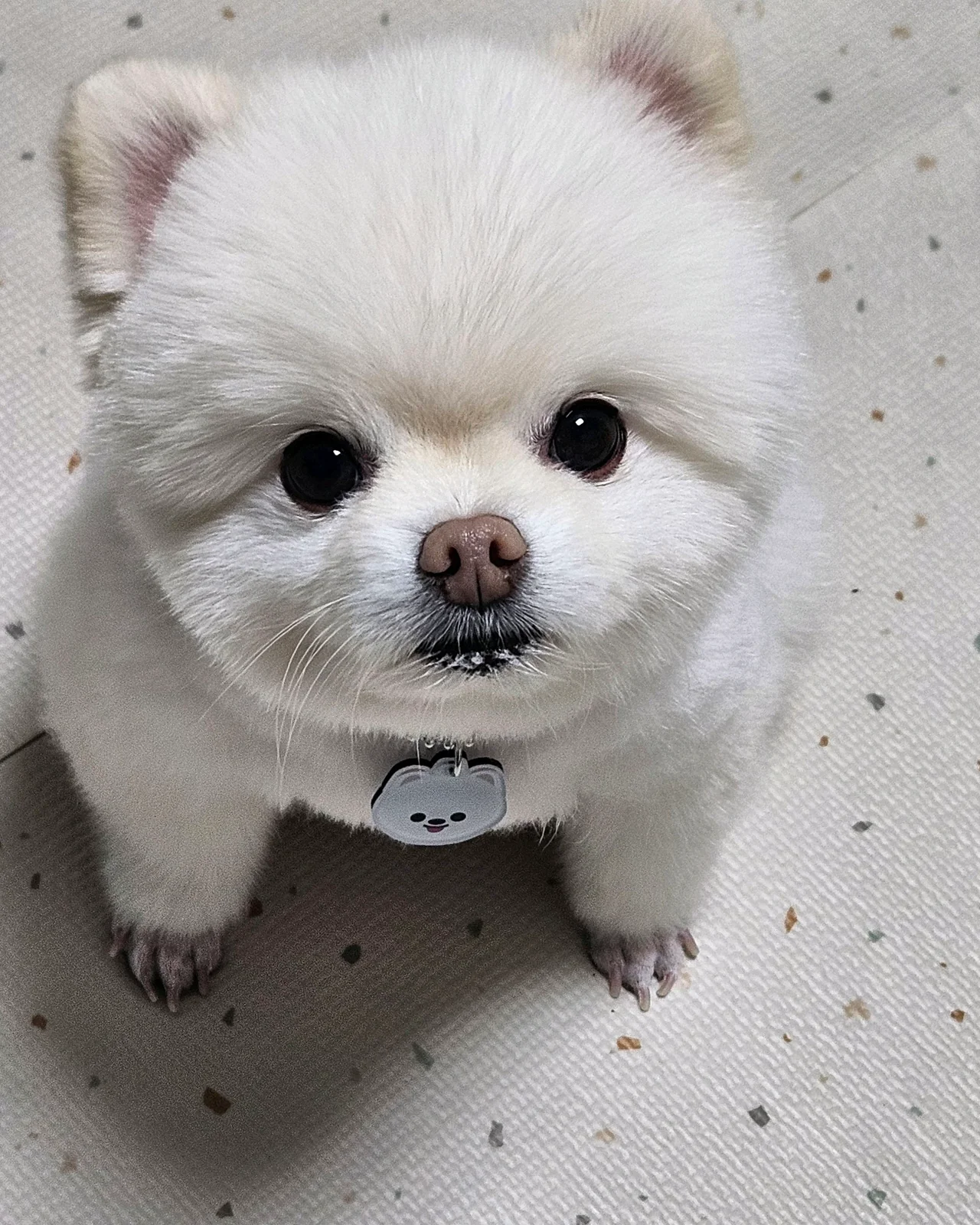 리뷰 사진 1
