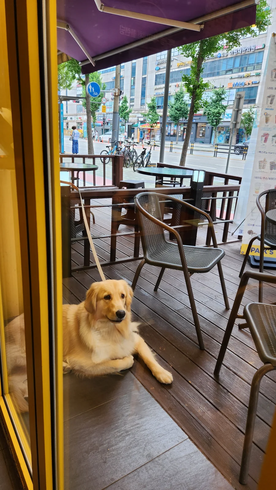 리뷰 사진 1
