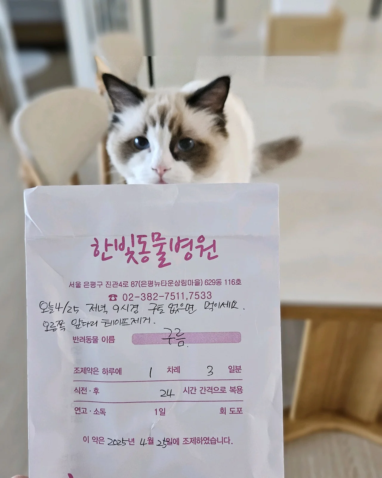 리뷰 사진 1