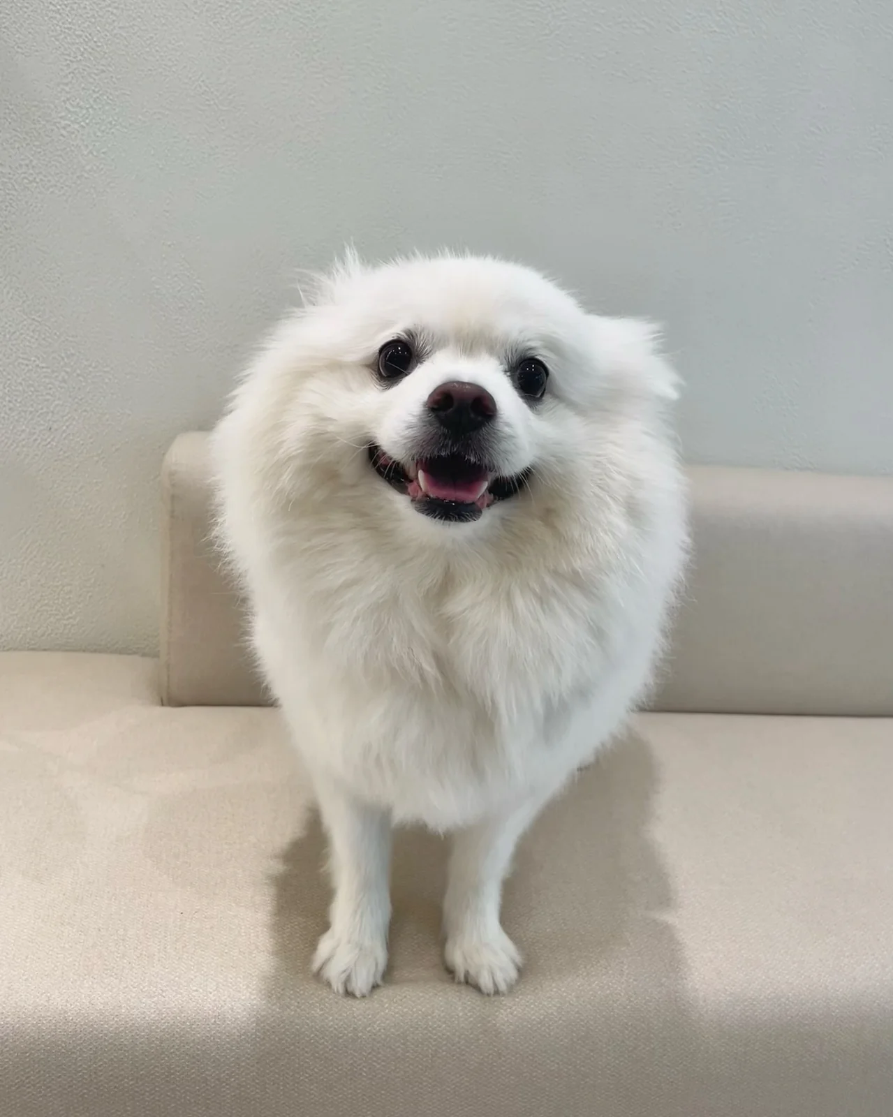 리뷰 사진 3