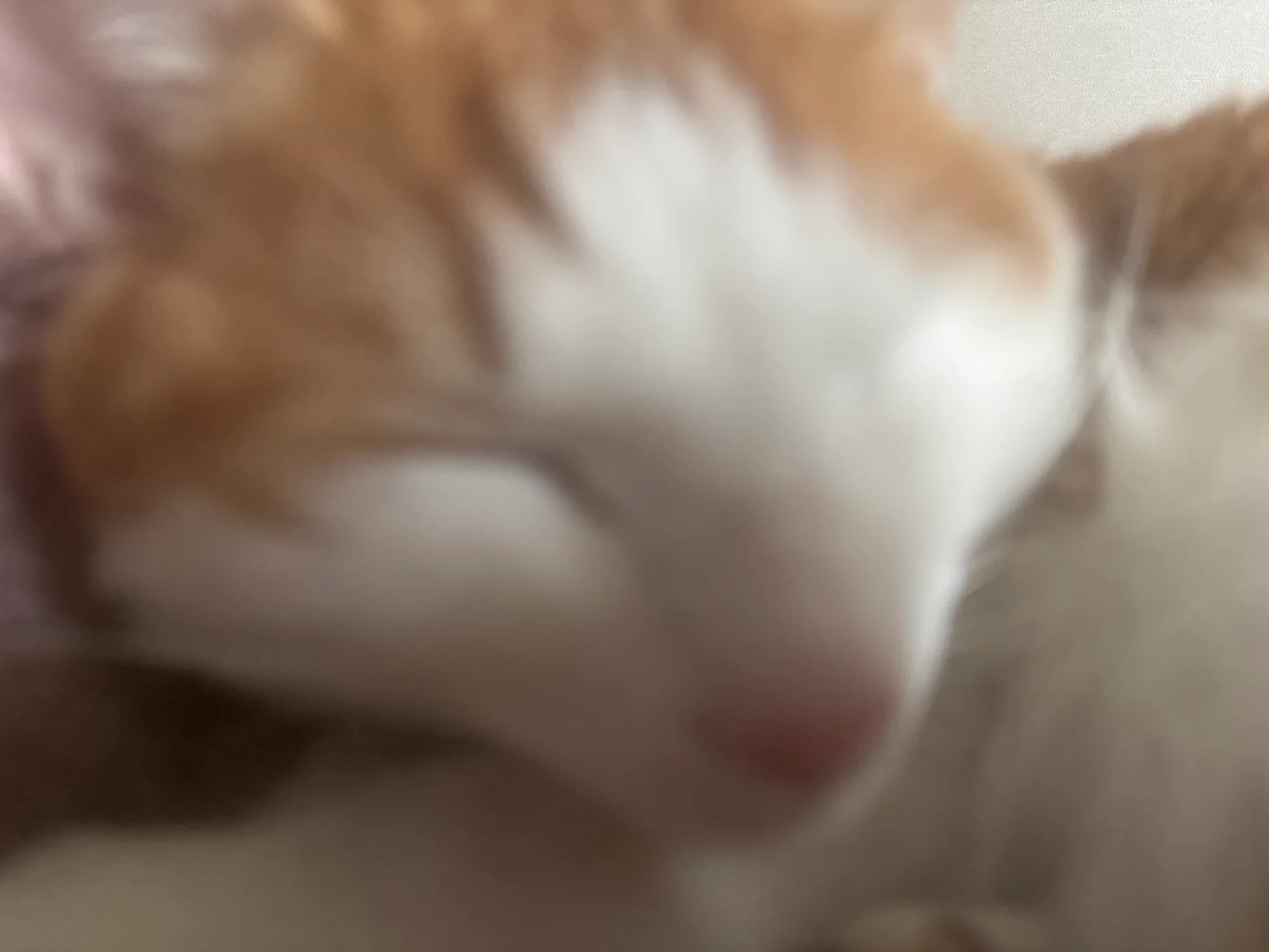 리뷰 사진 1