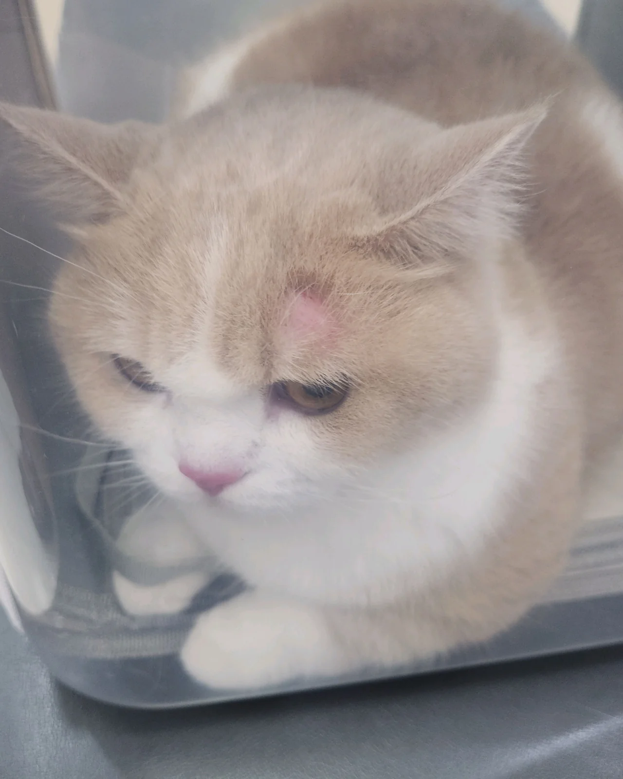 리뷰 사진 1
