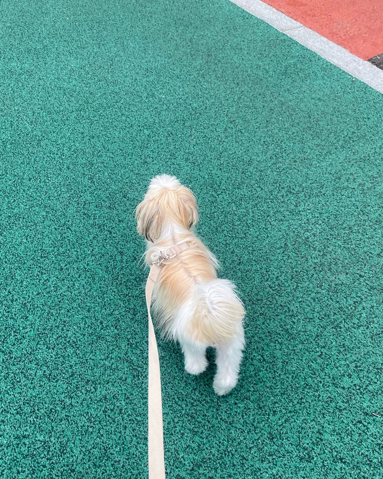 리뷰 사진 1