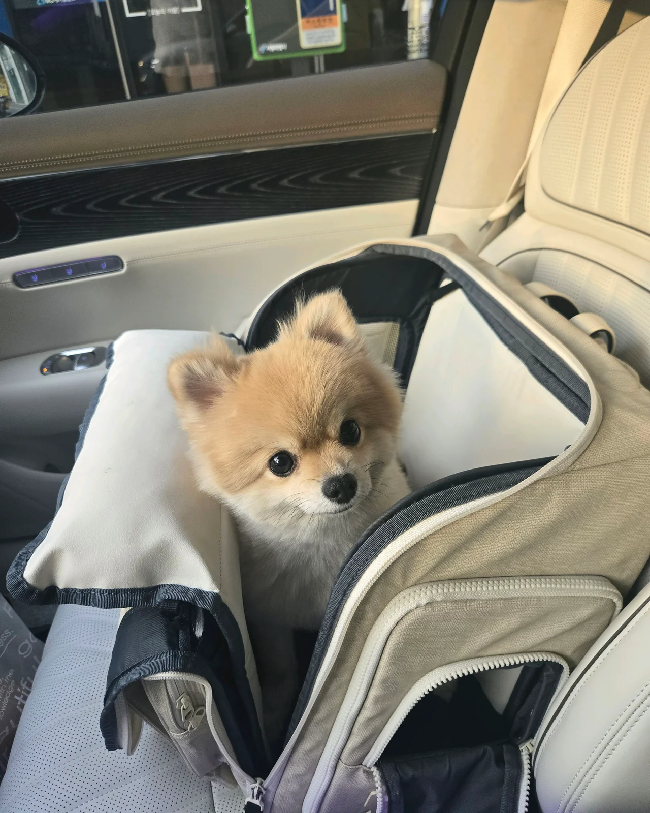 리뷰 사진 1