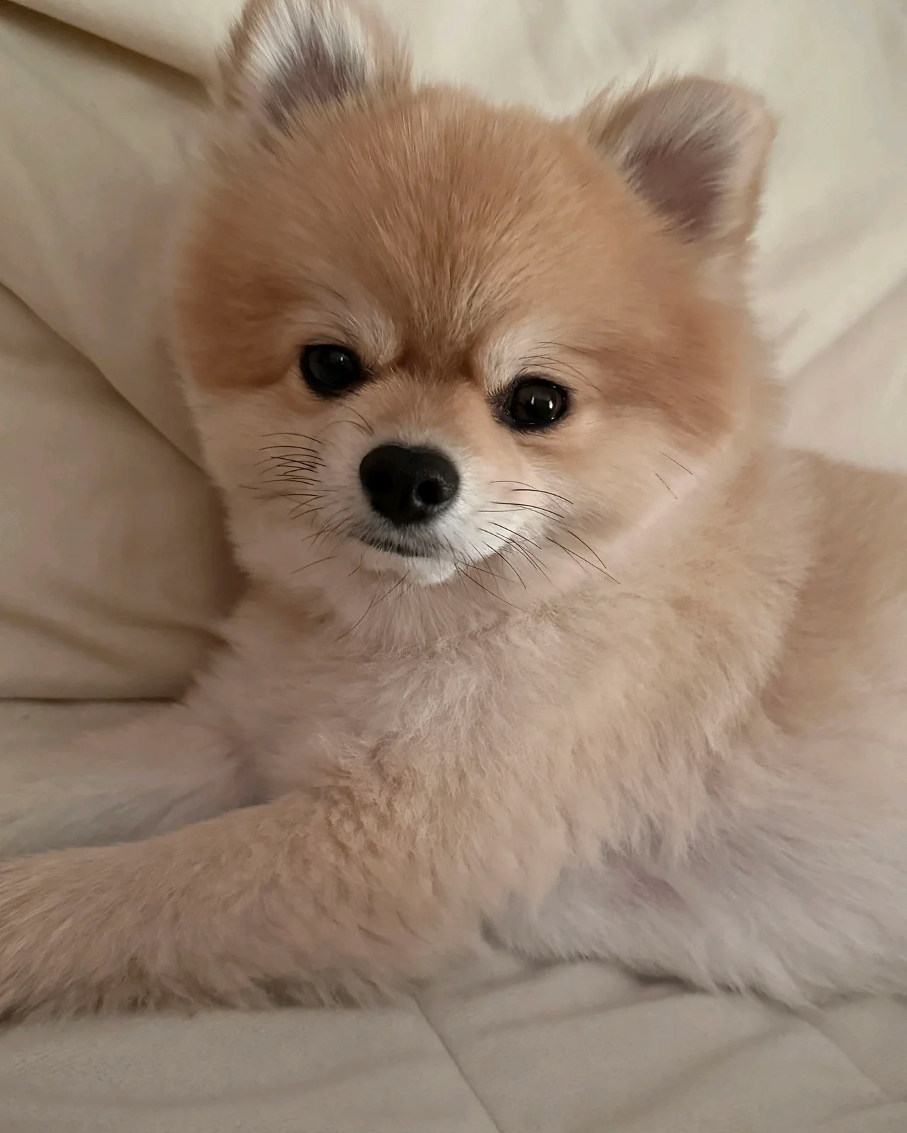 리뷰 사진 2