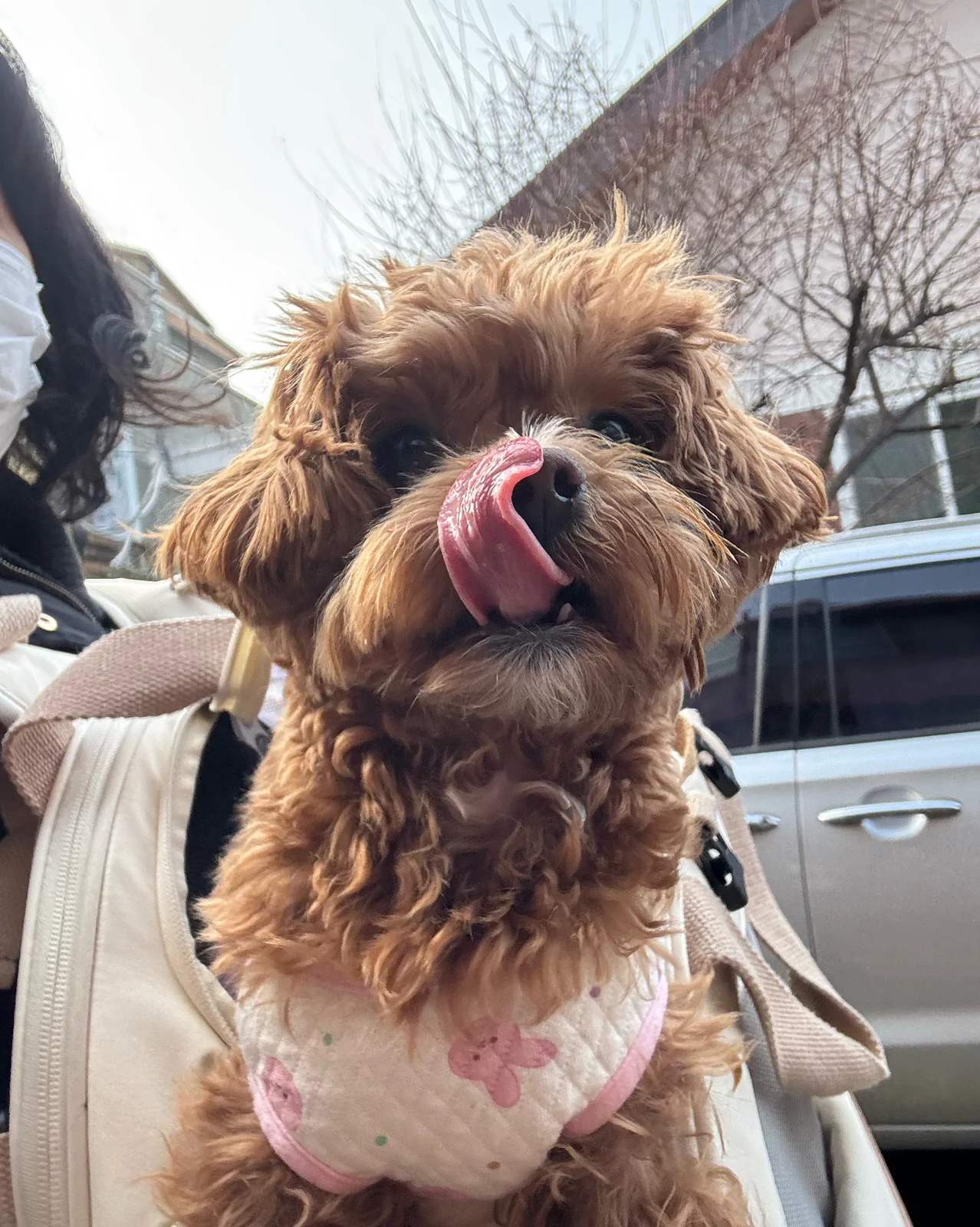 리뷰 사진 3