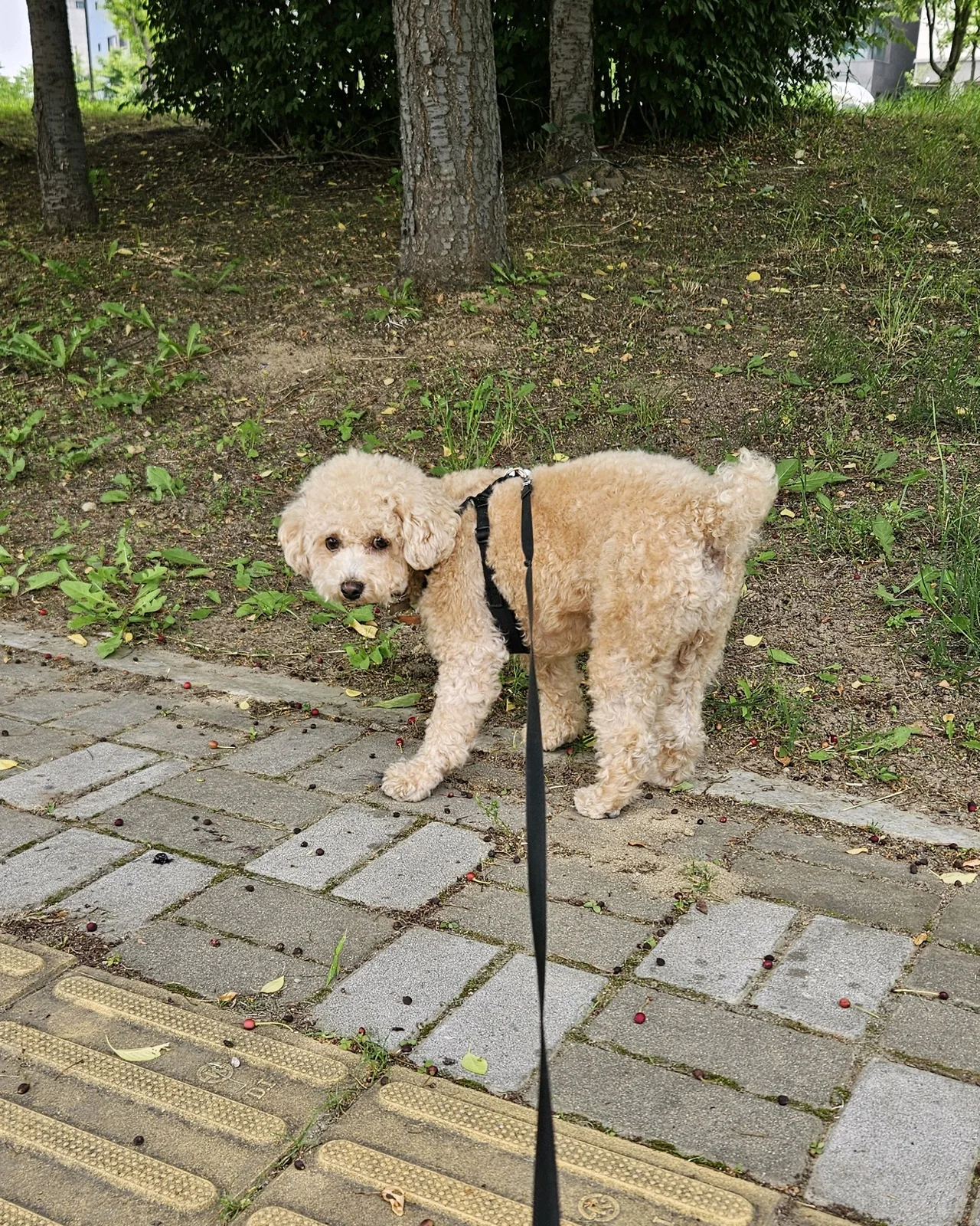 리뷰 사진 1