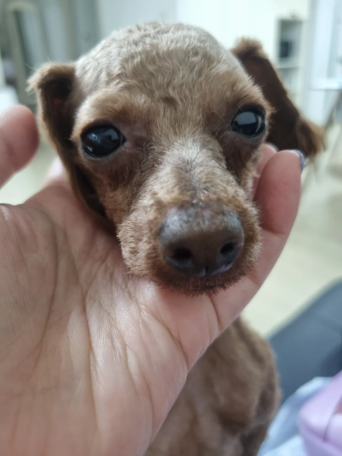 참좋은동물병원 사진 2
