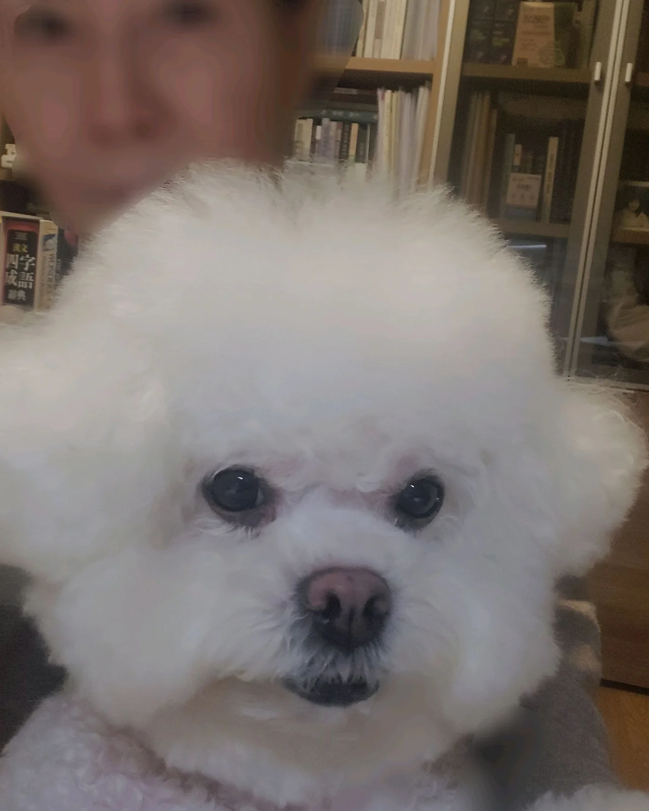 리뷰 사진 1