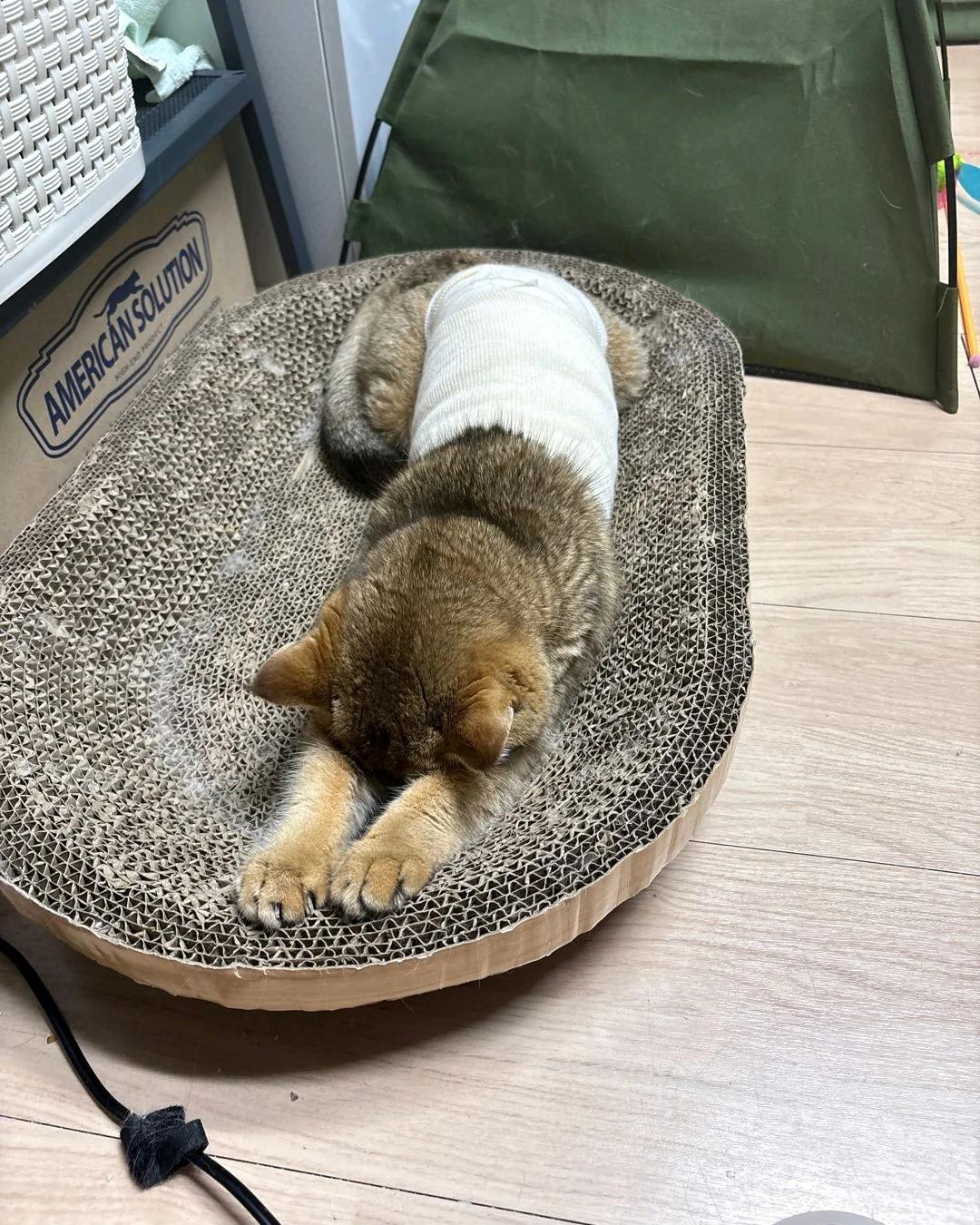 수색동물병원 사진 2