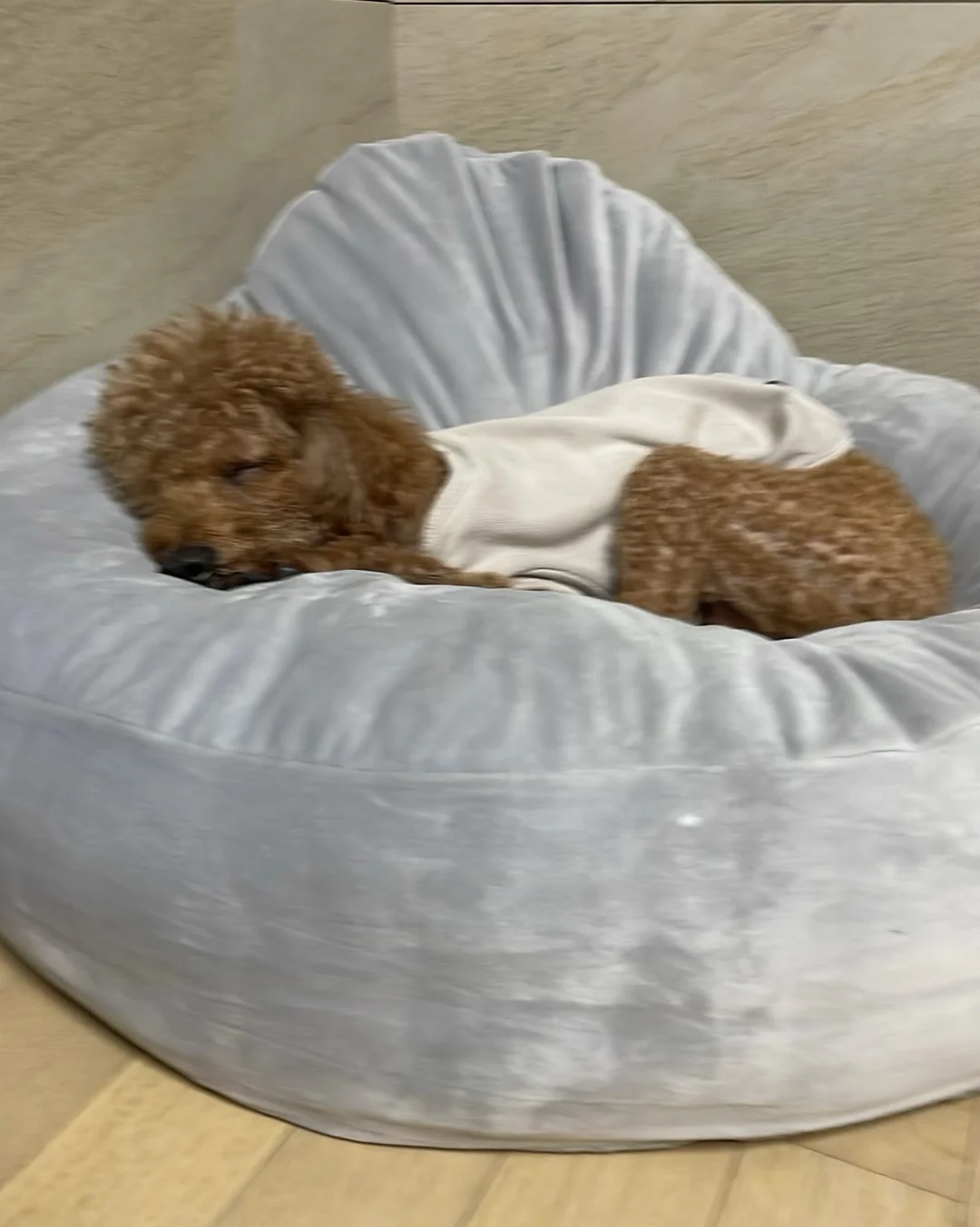 리뷰 사진 2