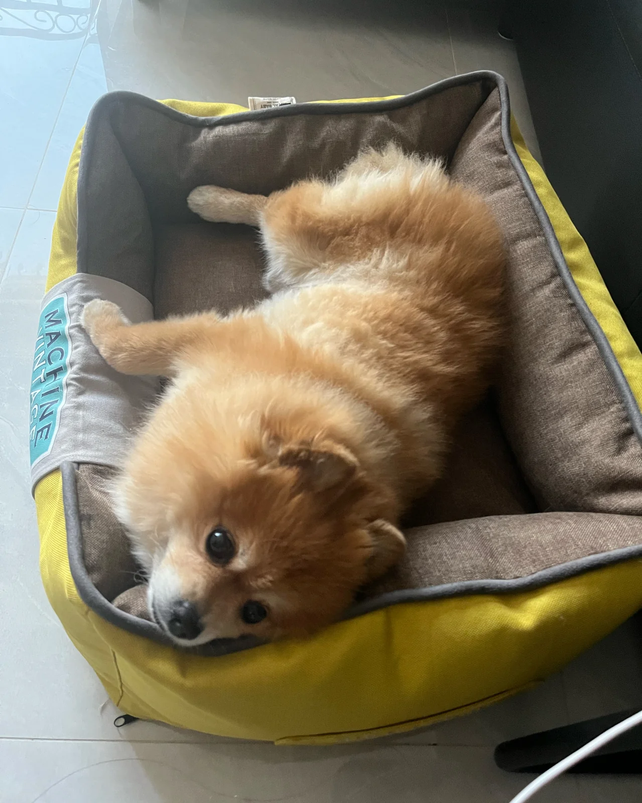 리뷰 사진 1