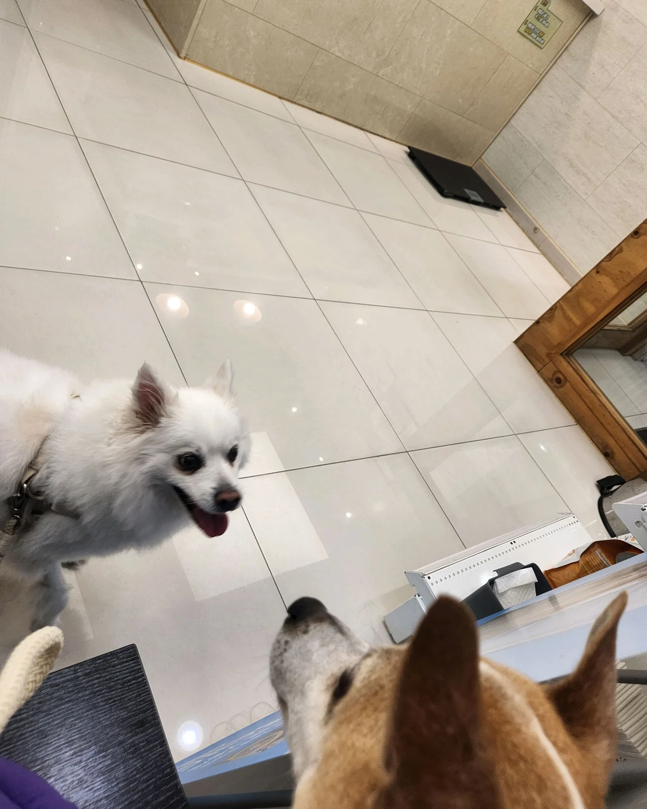 리뷰 사진 1