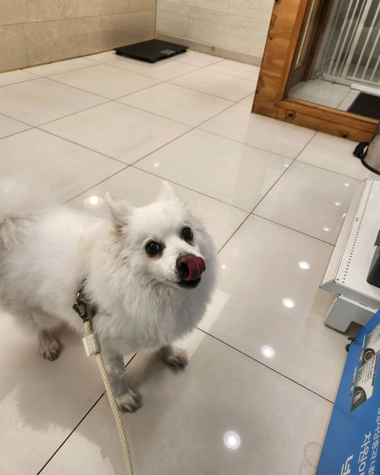 리뷰 사진 2