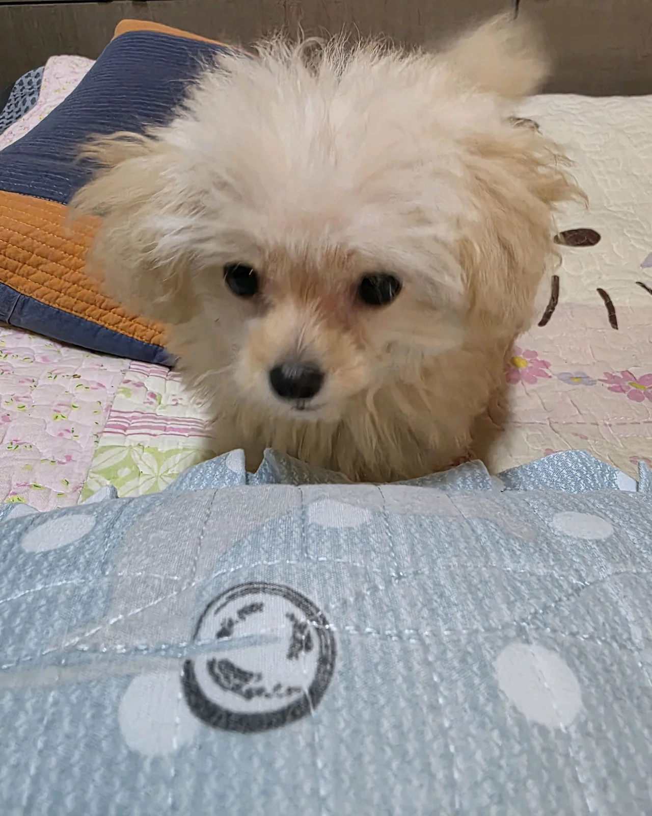 리뷰 사진 1