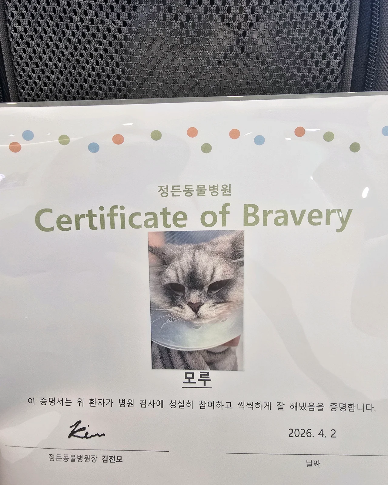 리뷰 사진 1